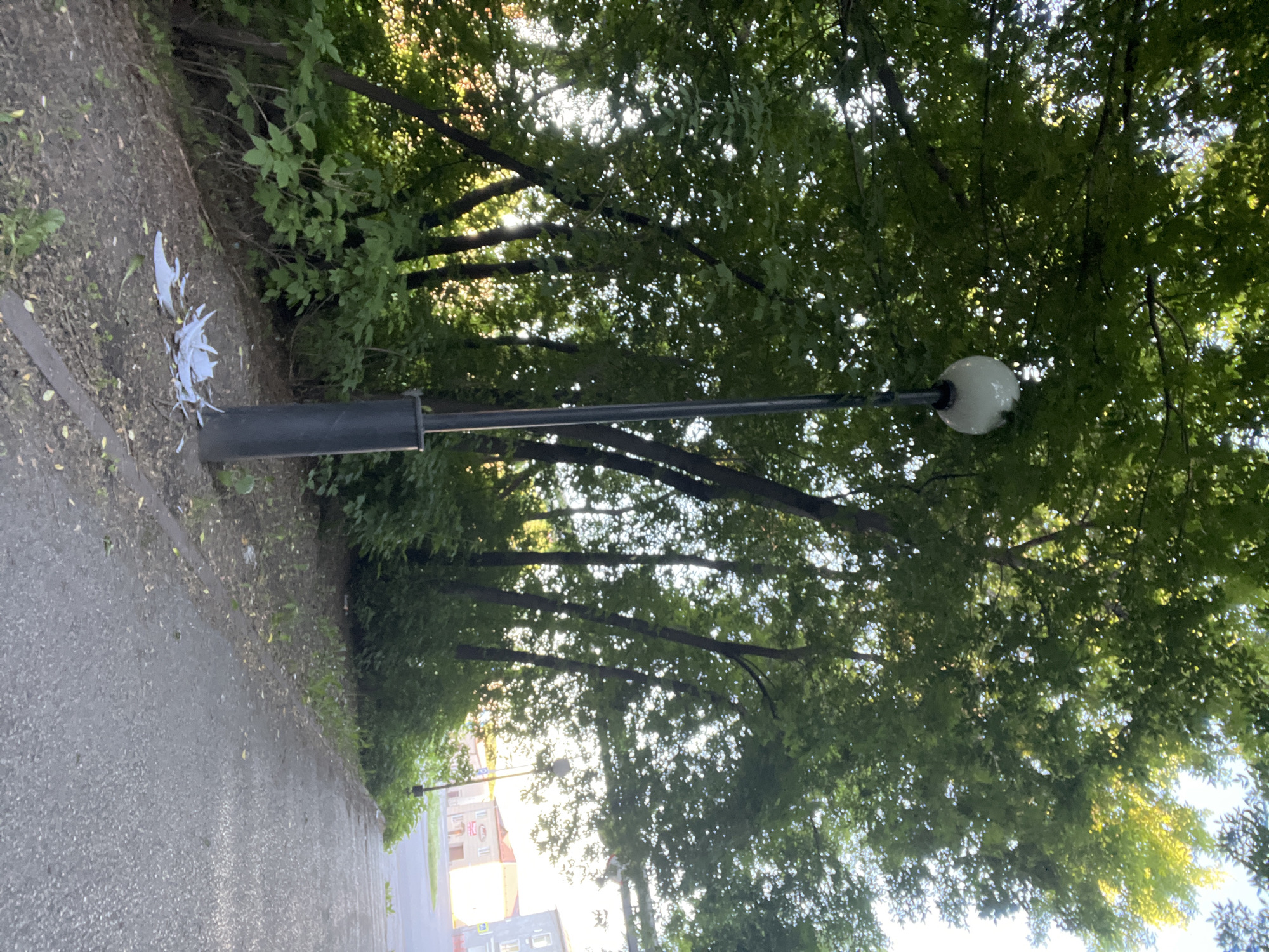 This media file depicts a street scene on a sunny day. The foreground features a paved walkway on the left, bordered by a patch of dirt and foliage on the right. Discarded white paper or plastic debris is scattered on the ground near a dark cylindrical object, which appears to be the base of a street light. The street light itself extends upwards and is topped with a round, white lamp.
Beyond the walkway, dense green trees with dappled sunlight filtering through their leaves dominate the scene, suggesting a park or a tree-lined street. The sun is bright, casting highlights through the canopy. In the background, several buildings are visible, hinting at an urban or suburban setting. The buildings appear to be of moderate size, with some architectural details suggesting residential or commercial use. One building displays visible text, though it is not clearly legible in the image.
The overall impression is of a quiet, daytime scene in an outdoor environment, likely a public space in Kiselyovsk, Russia, given the location context. The presence of discarded debris might suggest a lack of recent maintenance, but the overall atmosphere appears peaceful.