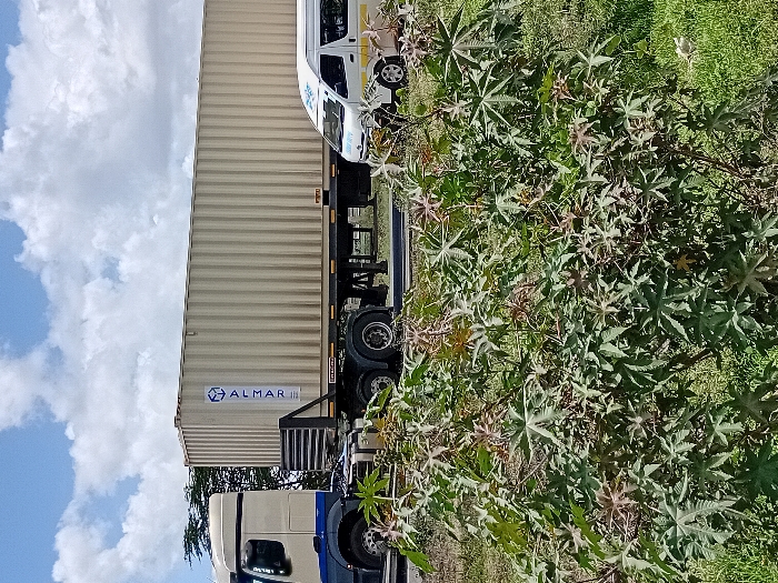 The image shows a large, white semi-trailer truck parked on a paved road, partially obscured by a large green bush in the foreground. The trailer is labeled "ALMAR". There is a smaller white van parked behind the truck, also on the road. The scene takes place in Mlolongo, Kenya, at latitude: -1.41, longitude: 36.948. The sky is partly cloudy with a blue background. A large tree is visible on the left side of the image. The trailer is facing away from the camera while the van is facing toward it. There are no people in the image.