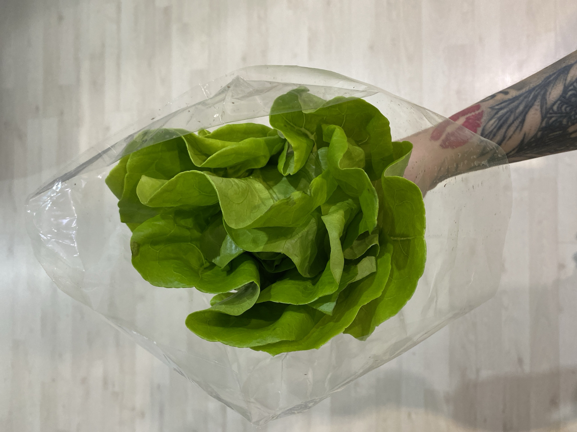 A human arm, tattooed with a red lip print and dark, intricate designs, holds a head of bright green lettuce enclosed in a transparent plastic bag. The arm is visible from the forearm downwards. The lettuce appears fresh with distinct, crinkled leaves. The scene is shot from an overhead perspective against a light-colored background that resembles a wooden or laminate floor with horizontal plank lines. No visual information within the image indicates the specific location in Izhevsk, Russia.