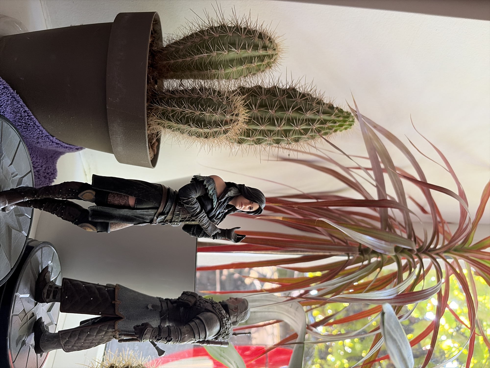 The image depicts a windowsill with several objects. In the foreground, a large brown plastic pot contains a cluster of three green cacti with prominent spines. To the right of the cacti, a figurine of a woman with dark hair, dressed in dark, elaborate clothing, stands on a circular base. Facing her, to the right, is a figurine of a man with grey hair and a beard, wearing medieval-style armor, also on a circular base. Behind the figurines, a tall plant with long, red and green leaves reaches towards the top of the frame. The background is a lightly colored wall, with natural light filtering in from a window to the right, casting shadows. There is no discernible indication of the city of Oxentea, Moldova within the image.