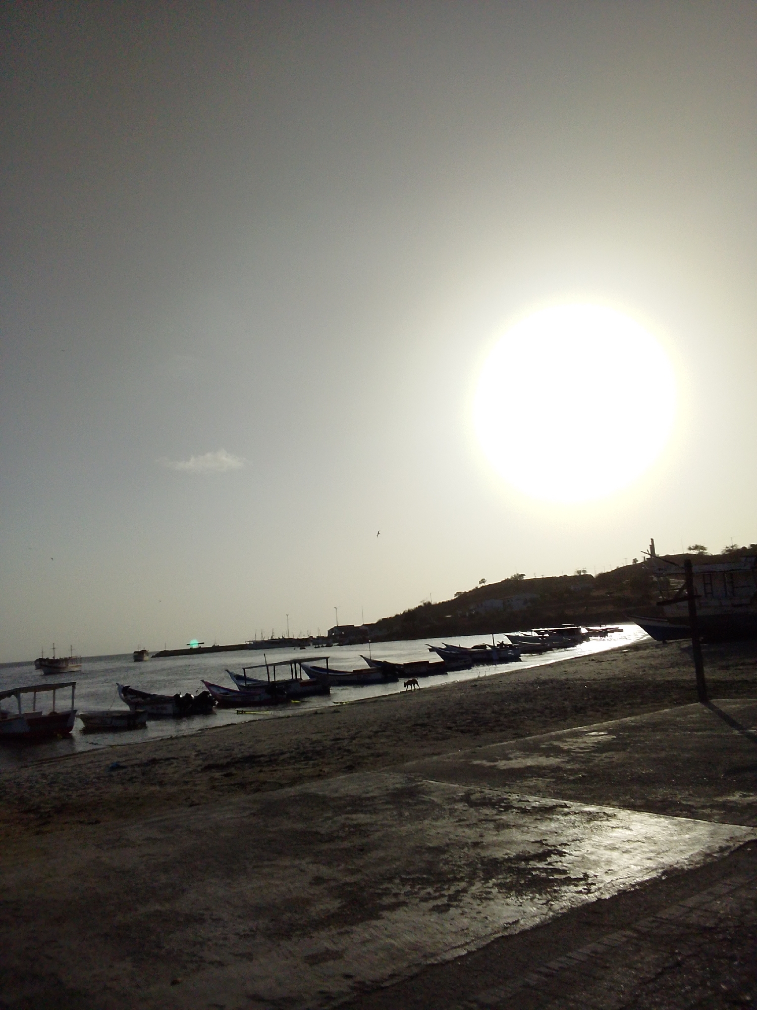 The image displays a coastal scene, likely at sunrise or sunset, characterized by a bright, low sun dominating the upper right portion of the sky and creating a strong glare. The sky is largely clear with a hazy glow around the sun, and a single small, wispy cloud is visible in the upper-left.
In the foreground, a dark, textured concrete or paved surface transitions into a sandy or muddy shoreline. Numerous small boats, appearing to be fishing vessels, are pulled onto the shore or partially resting in the calm water. These boats are mostly dark silhouettes, though some show hints of color like white, red, and blue. A small, dark animal, possibly a dog, is visible walking along the waterline among the boats on the left side.
Further into the body of water, several larger vessels or ships are present, including one with a visible mast on the far left. A faint green light, possibly a buoy or distant light source, is discernible in the water towards the center-right. The background features low, undulating land or hills, partially silhouetted against the bright sky, with sparse vegetation and a few indistinct structures. Utility poles are also visible on the right side of the landmass. Small bird-like shapes can be seen in the sky. The overall lighting creates a high-contrast image with deep shadows and intense brightness. No people are clearly visible, and there is no visible text.