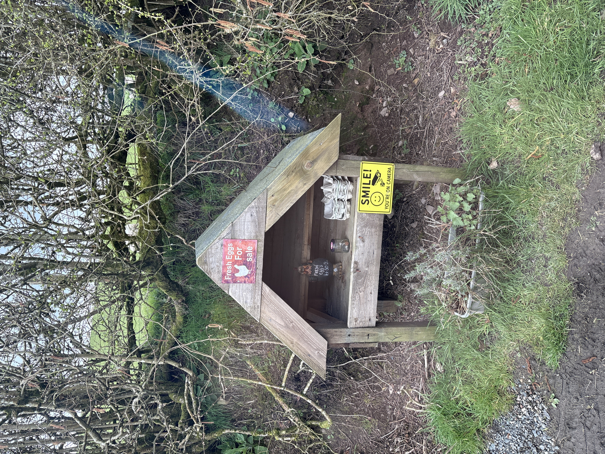 This eye-level shot shows a wooden egg stand located in Wentnor, United Kingdom. The stand is A-framed with a sign reading "Fresh Eggs For sale" on one side. Inside, there are empty egg cartons, a jar, and a sign showing egg prices. Another sign, displaying a smiley face, reads "Smile! You're on camera." The stand sits near grass and a muddy path. Trees and bushes surround the structure, setting a rural scene. No people are visible.