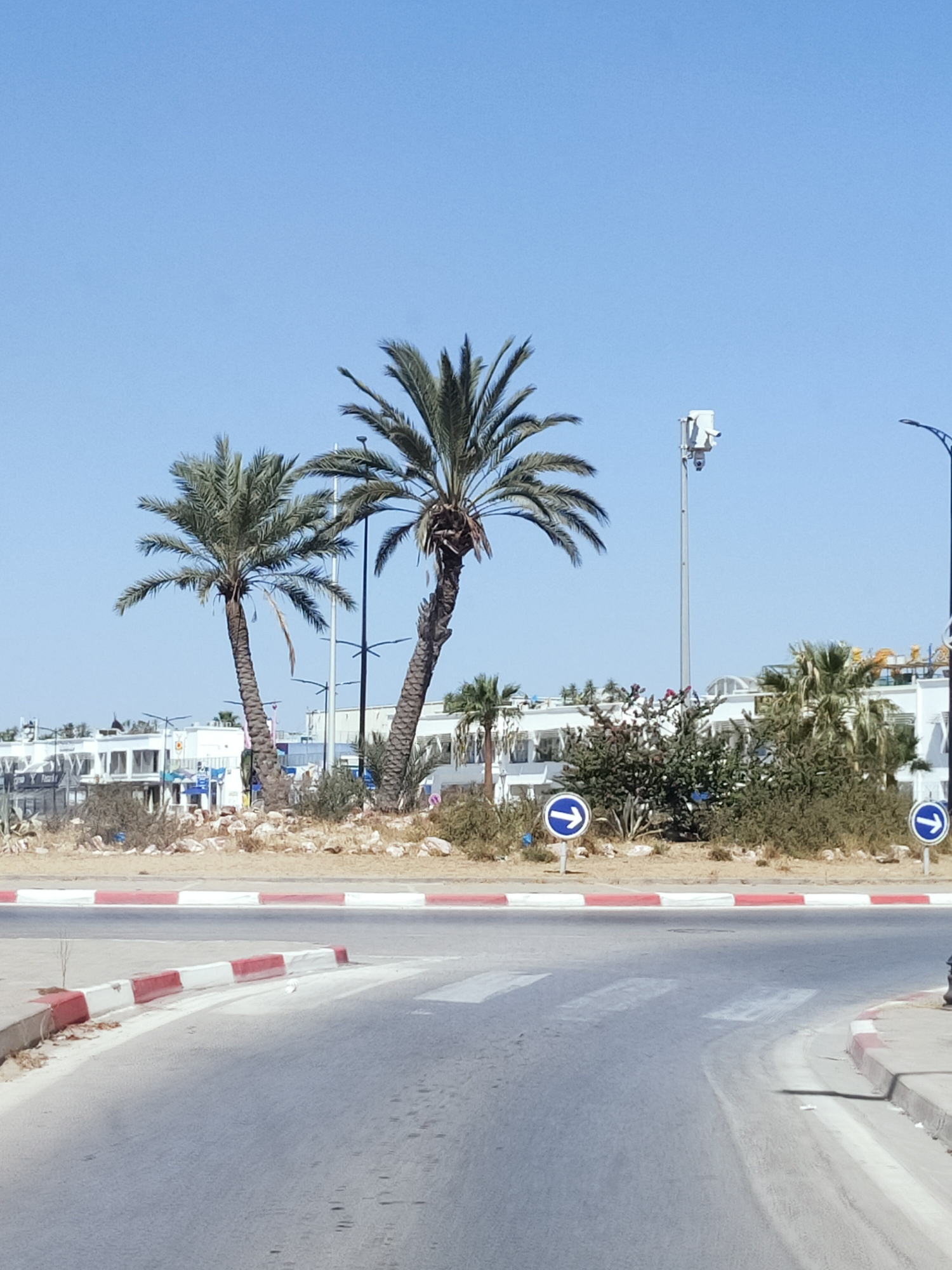 The image depicts a street scene under a clear blue sky. In the foreground, a paved road curves to the right, with a pedestrian crossing marked by white stripes. The roadside features a curb with red and white markings. Behind the curb, a patch of dry, rocky ground is visible, with sparse vegetation and several palm trees. Two mature palm trees, one taller and with a more robust trunk than the other, are prominent. In the mid-ground, a row of white buildings with multiple windows and balconies stretches horizontally. A tall, slender pole with surveillance cameras and what appears to be a communication antenna stands in front of these buildings. Further back, more palm trees and dense green bushes are present. Two circular blue traffic signs with white arrows pointing to the right are visible on metal poles in the middle ground, near the bushes and buildings. The overall environment suggests a warm, possibly coastal or arid climate. The scene appears to be a public street in a developed area, likely a tourist or commercial district given the architecture and signage. The image does not contain any people or visible signs of recent activity.
