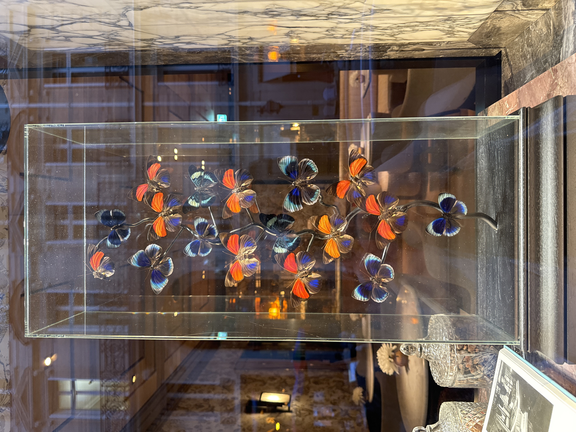 A rectangular glass display case containing an artificial butterfly arrangement is visible in a shop in Paris, France. The arrangement consists of a dark, branch-like structure with multiple artificial butterflies in various colors (red, orange, blue, and black) affixed to it. The butterflies are detailed and appear to be crafted to resemble real specimens.
The glass case is positioned within a larger display or window, with reflections of the surroundings visible on the glass surfaces. The background reflects interior elements of a shop, suggesting the display is inside a retail establishment. The case rests on a surface with ornate decor, including glassware and possibly a book. The shop’s interior design appears sophisticated.
The image suggests the shop sells items related to art, design, or decor.