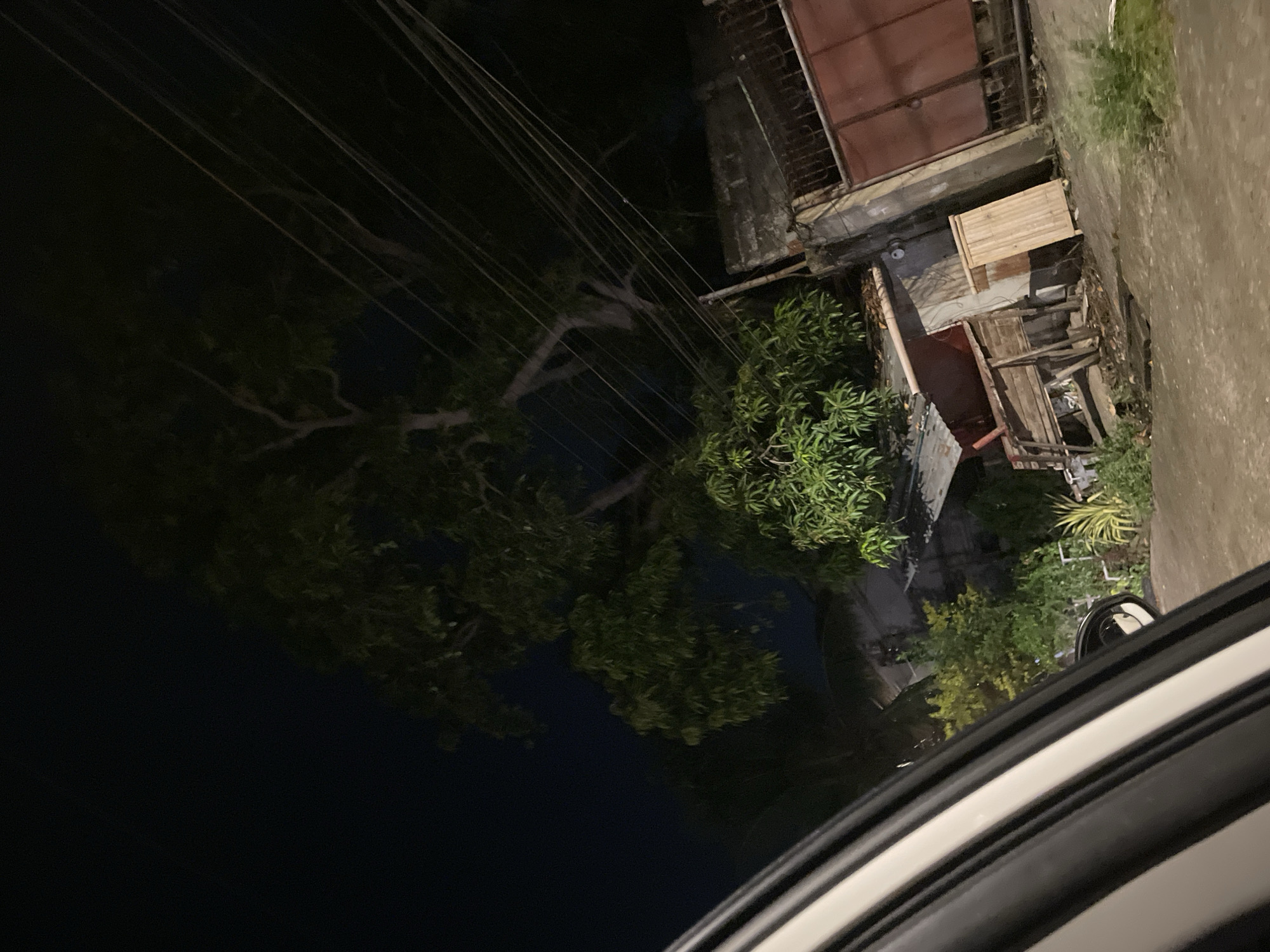 The image, taken at night from inside a vehicle, shows a street scene in Davao City, Philippines. A large tree with dark green foliage dominates the upper portion of the frame, with power lines crisscrossing through its branches. To the right, a dilapidated concrete wall and a rusty, maroon-colored metal gate are visible. In front of the gate, a wooden structure, possibly a cabinet or a bench, leans against the wall. The ground appears to be a dirt road with some patchy vegetation. Further to the left, more trees and foliage are seen, along with the roof of a small structure. The overall impression is of a dimly lit, somewhat neglected urban or semi-urban area.