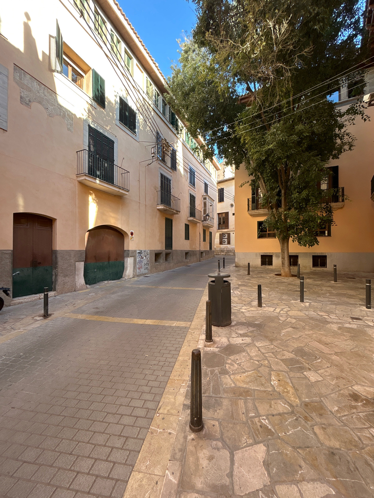 The image depicts a narrow street in Palma de Mallorca, Spain, with buildings lining both sides. The street is paved with cobblestones, and there is a large tree in the center of the scene. The buildings are several stories high, with balconies and windows. The architecture suggests a historic European city. On the left side of the street, there is a large wooden door and a smaller arched doorway. On the right side, there is a square with a trash can and several bollards. The sky is blue and clear, indicating a sunny day. The overall impression is one of a quiet, charming street scene in a Mediterranean city.
