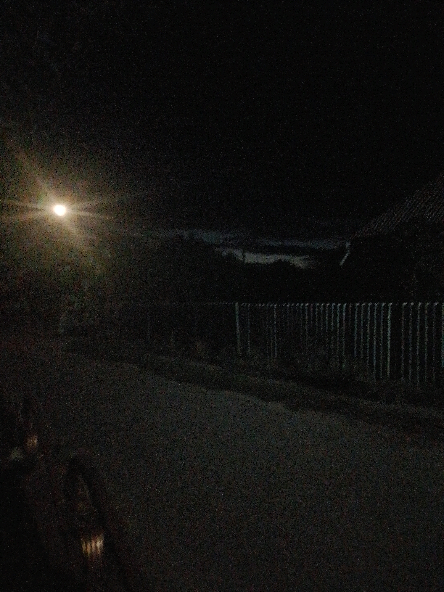 The image depicts a street at night in Myrhorod, Ukraine. A single streetlamp illuminates the scene, casting a bright light on the left side of the frame, near some foliage. A dark asphalt road runs through the center of the image, leading towards a fence with vertical posts. Beyond the fence, a dark silhouette of trees and a building with a tiled roof can be seen. The sky is dark, with some faint cloud formations visible. The overall impression is of a quiet, dimly lit residential street.