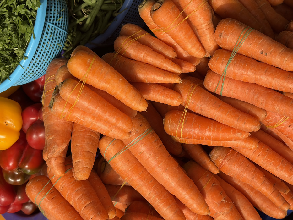 This image captures a market stall in Jakande, Nigeria, displaying a variety of fresh produce. The foreground is dominated by a dense pile of numerous orange carrots, many of which are grouped into bundles of three to five, secured with yellow or green rubber bands. In the upper left background, an assortment of red peppers, including bell peppers and other darker red varieties, is visible, along with one yellow bell pepper. To the upper right, a light blue perforated plastic basket holds a quantity of green leafy herbs. A darker blue container, partially visible below the herbs, contains green beans or similar elongated green vegetables. The scene is a static arrangement of produce, with no individuals or active interactions present.