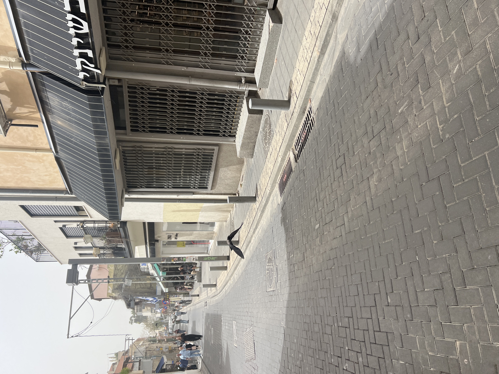 The image depicts a street scene in Tel Aviv, Israel. The perspective is from an elevated vantage point looking down a brick-paved street. A black bird is captured mid-flight across the street. Buildings line the left side of the street, including shops with awnings and security grates. People can be seen walking and congregating in the distance along the street, further down from the foreground. The sky is overcast.