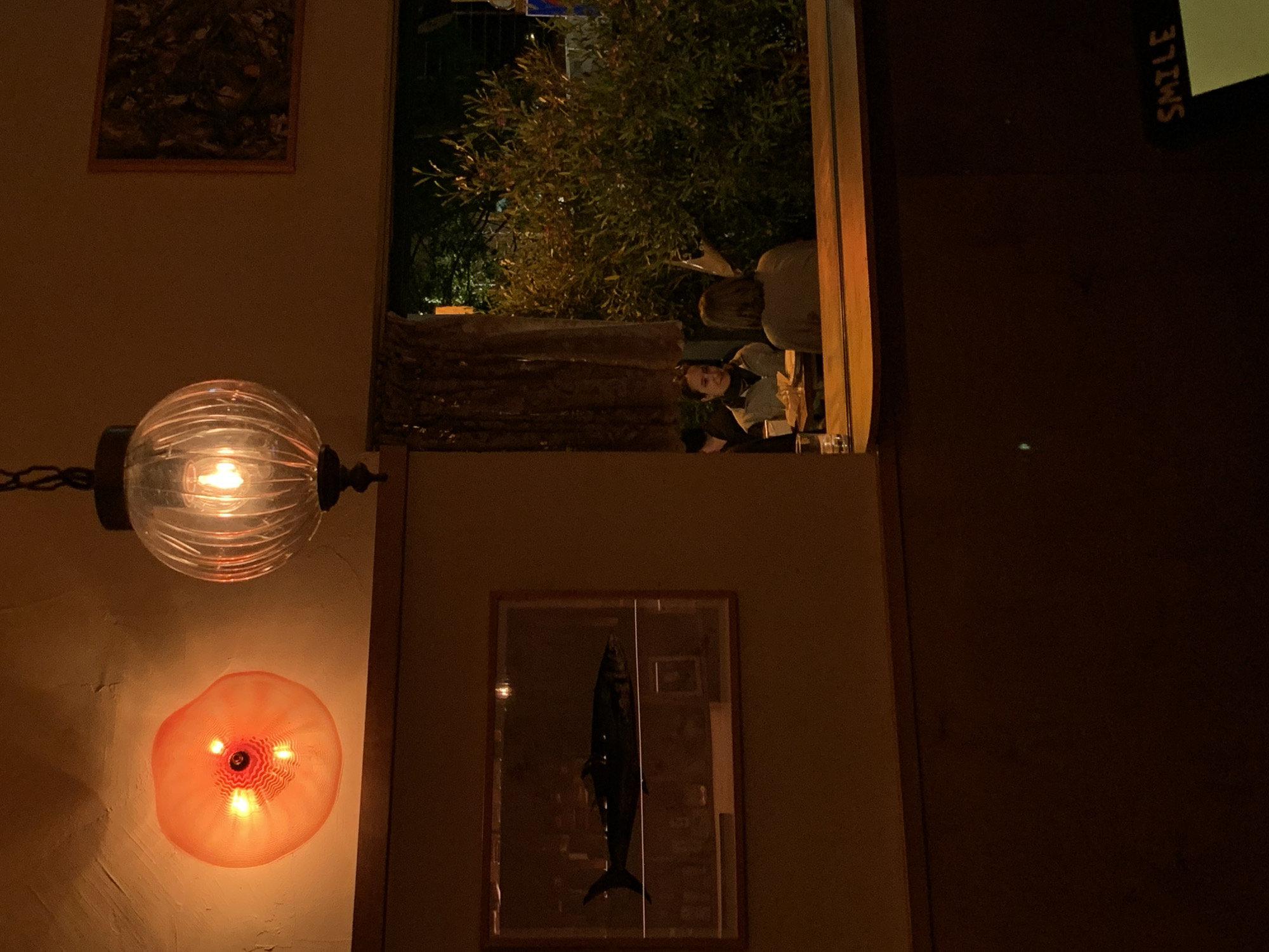 The image depicts the interior of a commercial establishment, likely a restaurant or bar, at night in Tel-Aviv, Israel.
The scene is dimly lit with warm, artificial light sources. The walls are a neutral, warm brown tone. On the upper left wall, an illuminated, orange, organic-shaped glass wall sconce with a swirling pattern provides accent lighting. To its right, a ribbed clear glass globe pendant light hangs from the ceiling by a dark chain, emitting a bright, warm glow from its central bulb. Further right and higher on the wall, a rectangular framed piece of dark, abstract art or a dark picture is visible.
Below the wall sconce, a rectangular display frame or case on the wall showcases a dark, stylized silhouette of a fish, possibly a tuna or shark. The lower portion of the interior space consists of dark wooden paneling or furniture.
Through a large opening or window in the mid-right, an exterior street scene at night is visible. Two individuals are seated at a table. The person closer to the camera has medium-length brown hair and is seen from behind. The second person, facing the camera, has dark hair, is smiling, and wears a light-colored jacket over a dark garment. They are seated at a table with plates and a clear drinking glass. A third person is partially obscured behind the smiling individual. Beyond them, a dense, leafy green bush or small tree fills much of the outdoor view, with hints of a dark street and distant lights in the background.
In the bottom right corner of the foreground, a partial view of a dark sign or object displays the word "SMILE" in orange lettering. The overall atmosphere suggests a casual dining or social setting.