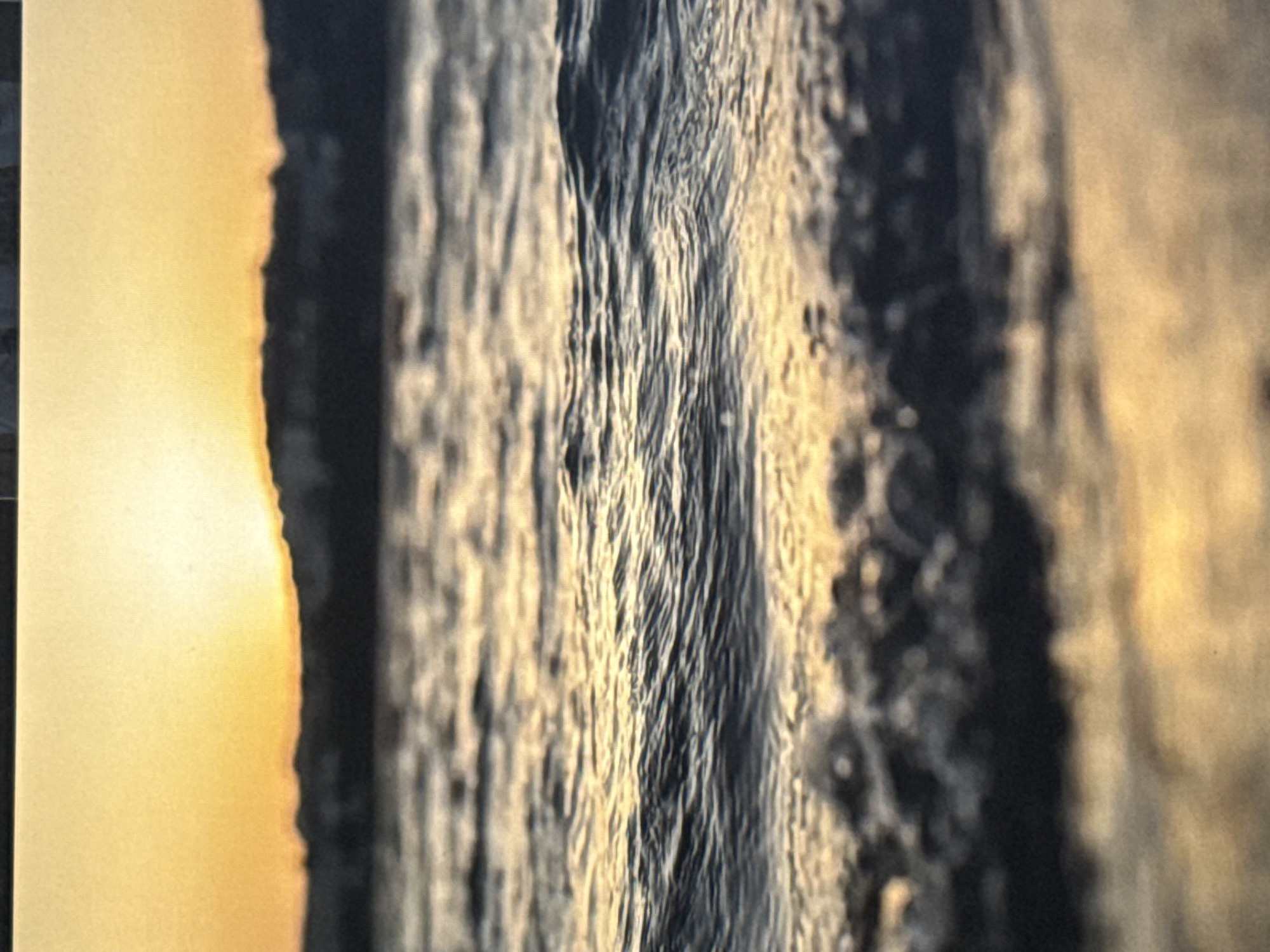 This media file is a close-up, abstract photograph that shows a textured, vertical surface. The surface is divided into two main areas. On the left, a soft, golden-yellow light fills the frame, with a gentle curve defining its right edge. This light suggests a sunrise or sunset, or perhaps a strong artificial light source. The right side of the image is dominated by a dark, textured surface with visible vertical striations and rough, uneven features. The texture is detailed and appears to be made of ridges and valleys. The interplay of light and shadow on this textured surface creates a sense of depth and ruggedness. The overall impression is one of looking at a rough, weathered material, possibly stone or rock, bathed in warm light. There are no people, objects, or discernible text in the image. The focus is entirely on the abstract textures and the contrast between light and dark.