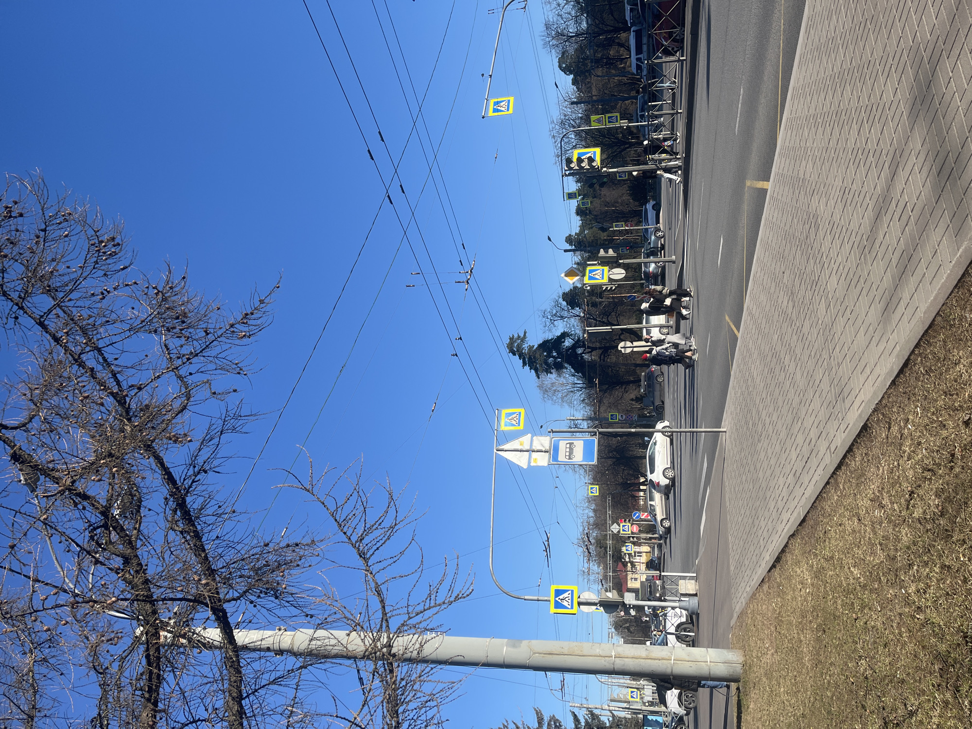 The image depicts a street scene in Saint Petersburg, Russia, under a clear blue sky. A bare tree stands in the foreground on the left, partially obscuring a metal utility pole. Overhead, numerous electrical wires crisscross the sky.
The street runs horizontally, lined with sidewalks paved with gray rectangular blocks. A strip of dry grass borders the sidewalk. The road has multiple lanes marked with yellow lines. Cars and parked vehicles are visible along the street.
Several pedestrian crossing signs, denoted by yellow squares with a walking figure, are erected along the road. There are also traffic lights and bus stop signs. In the distance, more trees are visible, suggesting a park or residential area beyond the road. Two people are riding the e-scooters in the street.