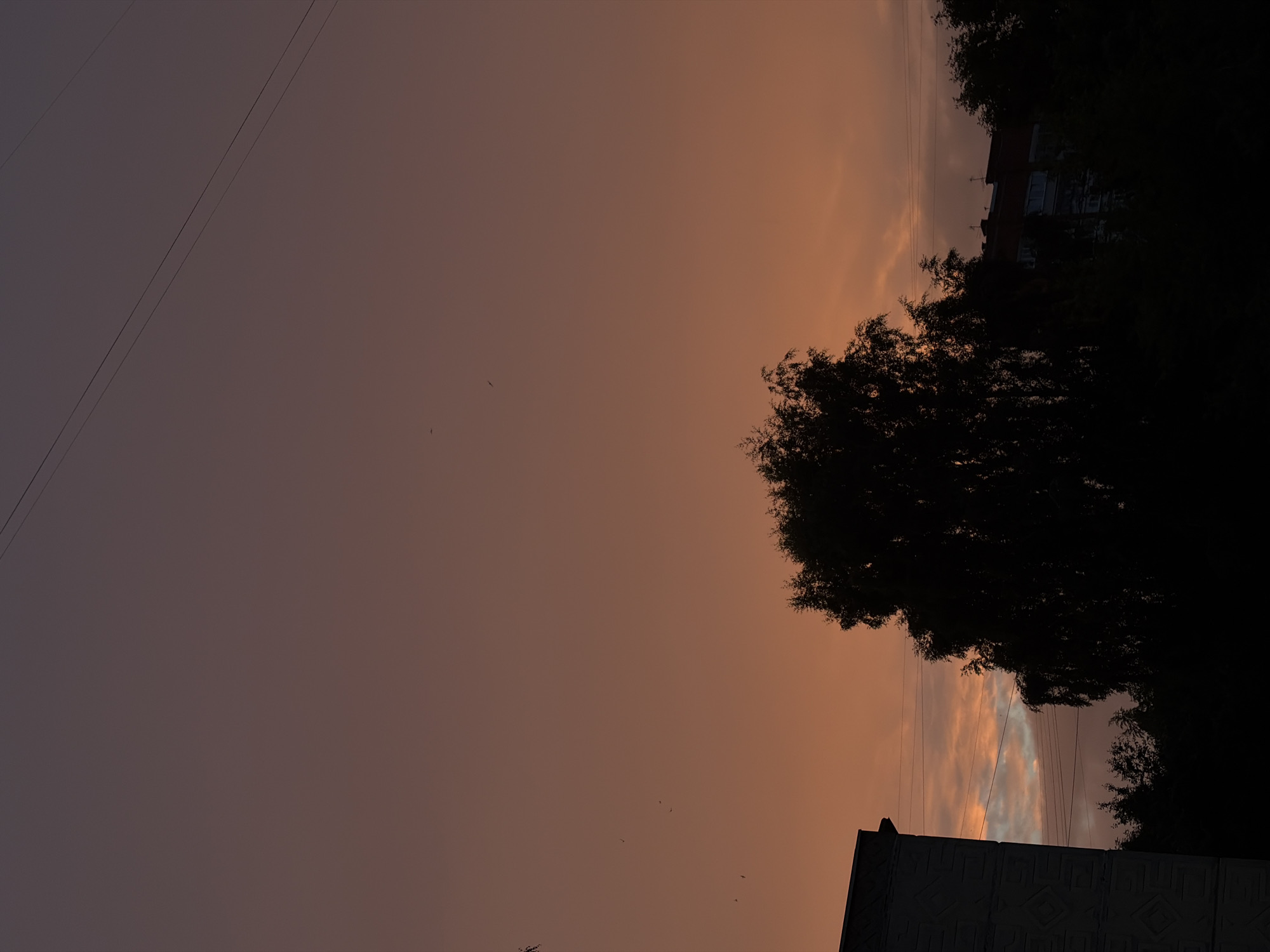 The image captures a sunset or sunrise scene with a dusky, orange-hued sky. In the foreground, silhouetted against the sky, is the dark mass of a large tree with intricate branches. To the right of the tree, a dark silhouette of a multi-story building is visible, its windows indistinct. Below this building, a section of another structure with a patterned facade is also visible. Several thin, dark lines that appear to be power or telephone lines stretch diagonally across the upper left portion of the frame. In the sky, a few small, dark specks suggest the presence of birds in flight. The overall mood is serene and slightly somber, indicative of the twilight hours. The weather appears calm, with diffused light filtering through the clouds. No text is visible in the image.