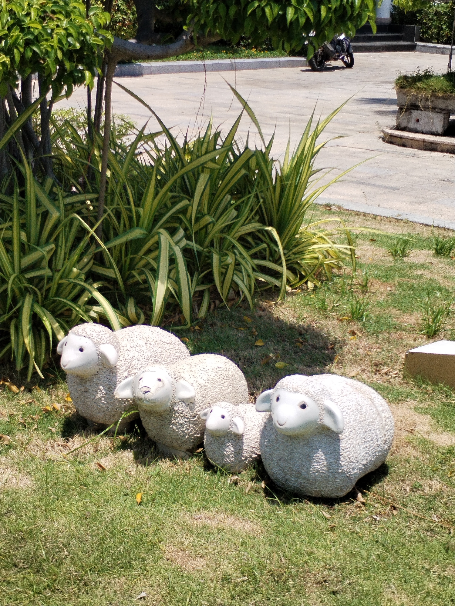 Four decorative sheep figures are positioned on a lawn adjacent to a patch of variegated plants near trees in the Bac Nha Trang Ward area of Vietnam. In the background, a paved walkway leads to a building with a parked motorcycle visible in the distance.