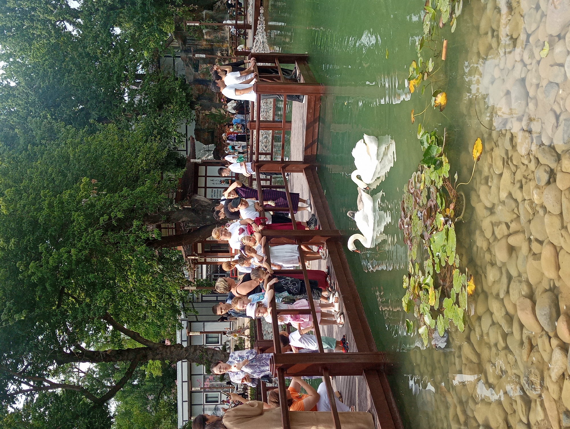 The image depicts a scene at the Shymkent Zoo in Shymkent, Kazakhstan, featuring a pond with water lilies and two swans. A wooden walkway runs along the edge of the pond, where a group of people, including adults and children, are gathered. Many of the individuals are looking towards the swans in the water. The background shows lush green trees and some buildings that appear to be part of the zoo's infrastructure. The water is clear enough to see the rocky bottom of the pond. The overall atmosphere suggests a pleasant, daytime visit to a public attraction.