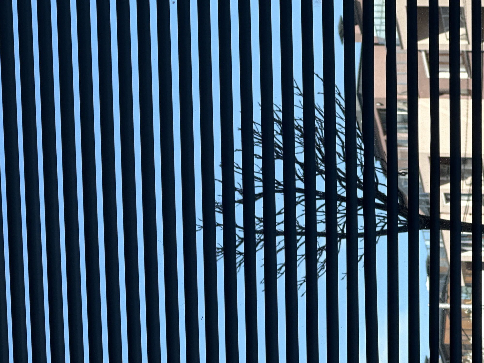 The image shows a view through vertical blinds. Outside the blinds, the silhouette of bare tree branches is visible against a blue sky. To the right, a building facade is partially visible. The location is likely Sofia, Bulgaria, given the building architecture and light. There are no people visible. The scene is still and without obvious action.