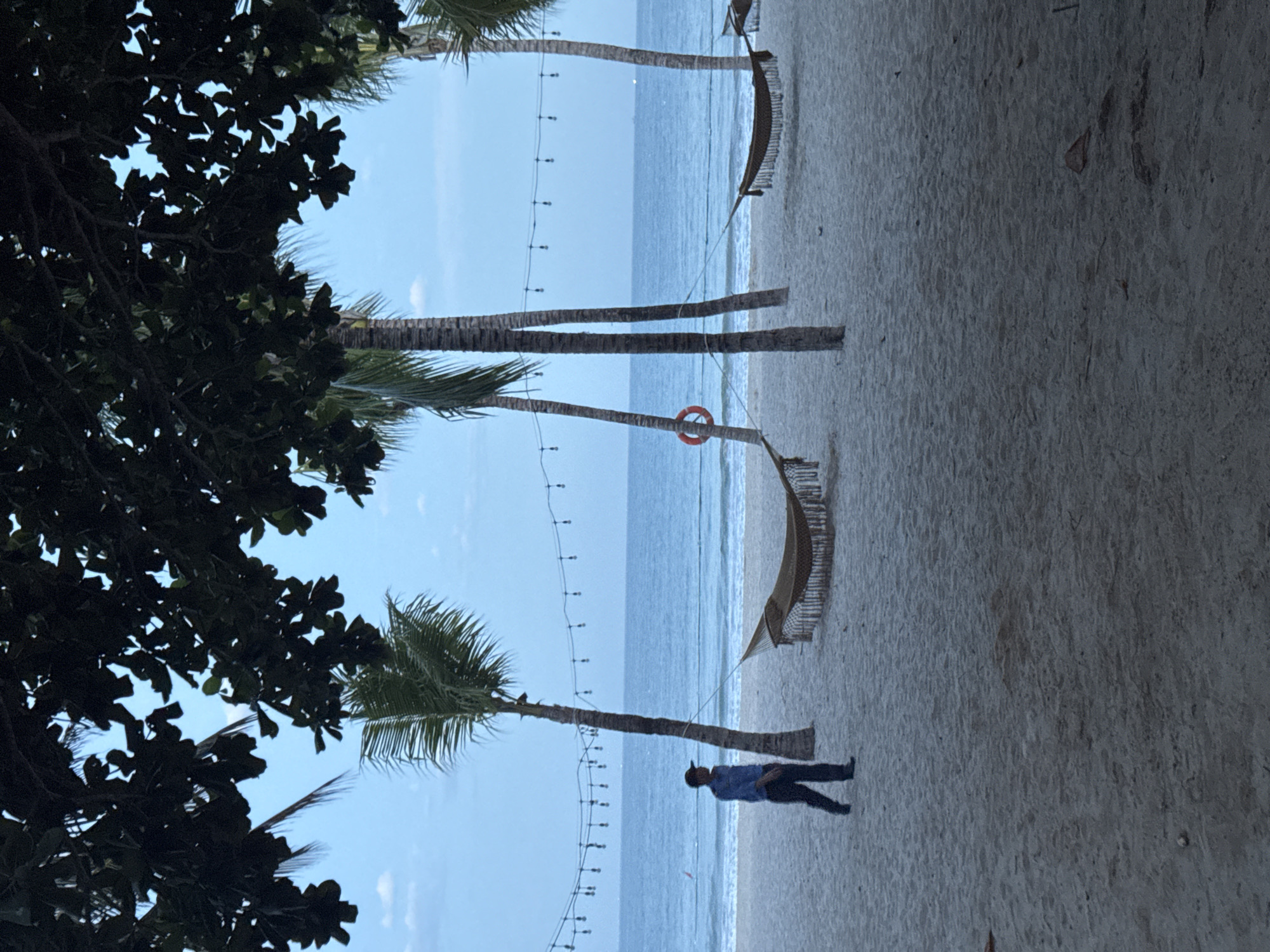 A wide shot captures a serene beach scene in Nha Trang, Vietnam, under a clear blue sky with wispy clouds. The foreground is dominated by a sandy beach, with a single person walking left to right. The person is wearing a blue collared shirt and dark pants, with a dark baseball cap. In the mid-ground, several palm trees are spaced out, with hammocks strung between them. A string of decorative lights hangs between the trees, creating a festive ambiance. The background features a calm, blue ocean extending to the horizon, where a faint outline of land or boats can be seen. A red life preserver is attached to one of the palm trees. The overall atmosphere is tranquil and inviting, suggestive of a resort or public beach area.