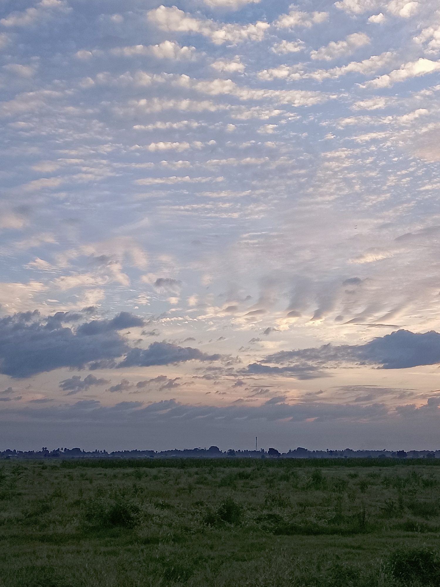 The image depicts a serene landscape with a vast expanse of sky and a field of greenery. The sky is filled with a captivating array of clouds, ranging from wispy cirrus formations to more substantial cumulus clouds. The colors in the sky transition from soft blues and grays at the top to warmer hues of pink and orange near the horizon, suggesting either sunrise or sunset. Below the sky, a distant treeline separates it from a foreground of lush green vegetation, likely a field or meadow. The overall impression is one of tranquility and natural beauty. The location is identified as Meunasah Pupu, Indonesia.
