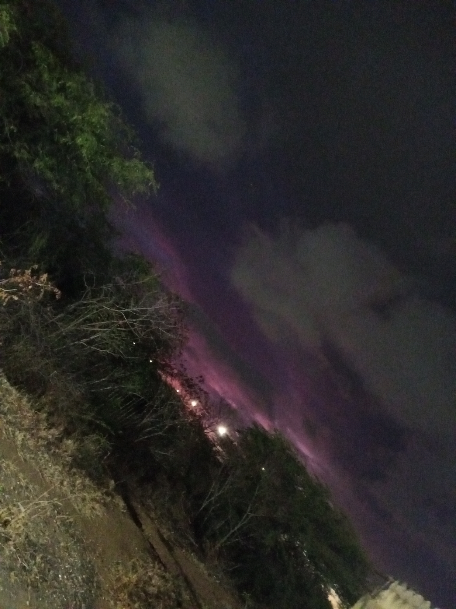 Here is a description of the image:
The image captures a night scene, possibly in Altagracia, Venezuela, as specified. It appears to be a street-level view with trees and bushes lining the left side. The sky is dark with clouds, and there is a distinct purple hue streaking across the sky, potentially from light pollution or a weather phenomenon. There are also some lights visible through the trees. The ground looks like a mix of vegetation and perhaps a road or path. The angle of the image is somewhat tilted.