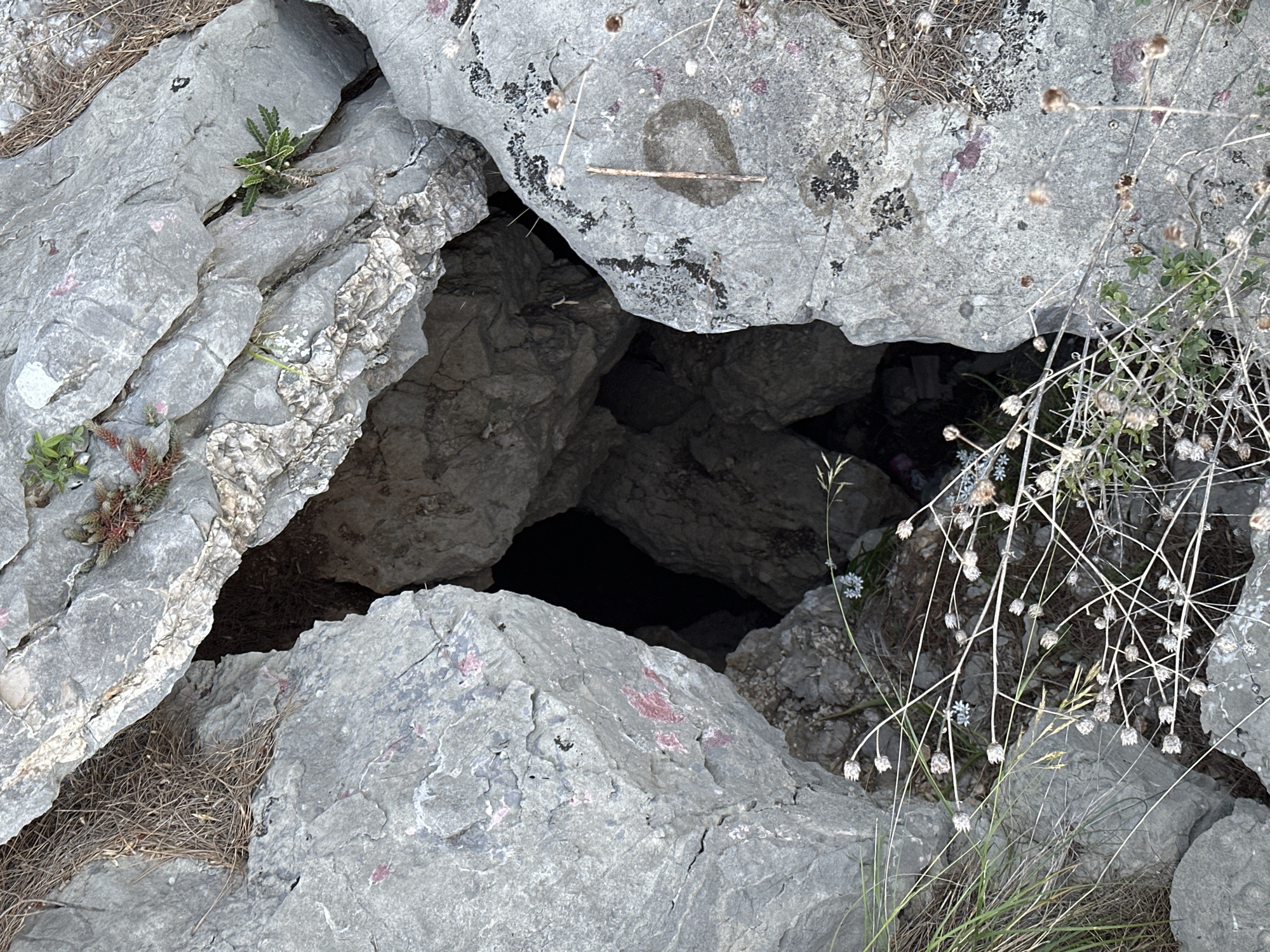 A dark, seemingly natural hole is visible between large, gray rocks. Some sparse vegetation surrounds the opening. It is located in Petrovac centar, Montenegro.