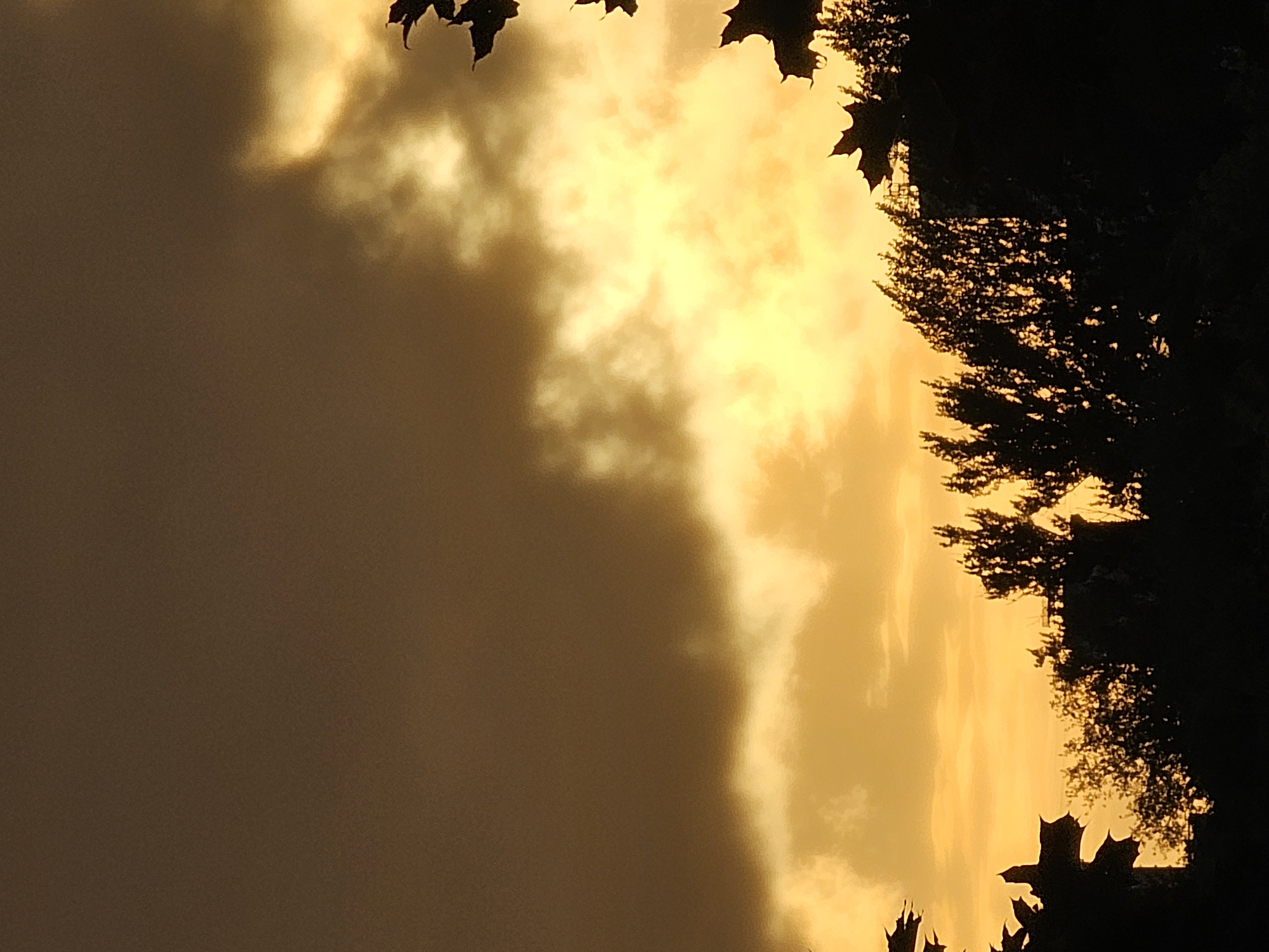 A silhouette of trees with dark leaves against a sky filled with dramatic, glowing clouds at sunset. The sky transitions from a deep brown at the top to bright yellow and orange hues lower down, with areas of intense light suggesting sunlight breaking through the clouds. The trees are dark and appear to be in the foreground, framing the lower part of the sky and adding depth to the scene. The overall mood is atmospheric and serene. The location is identified as Khimki, Russia.