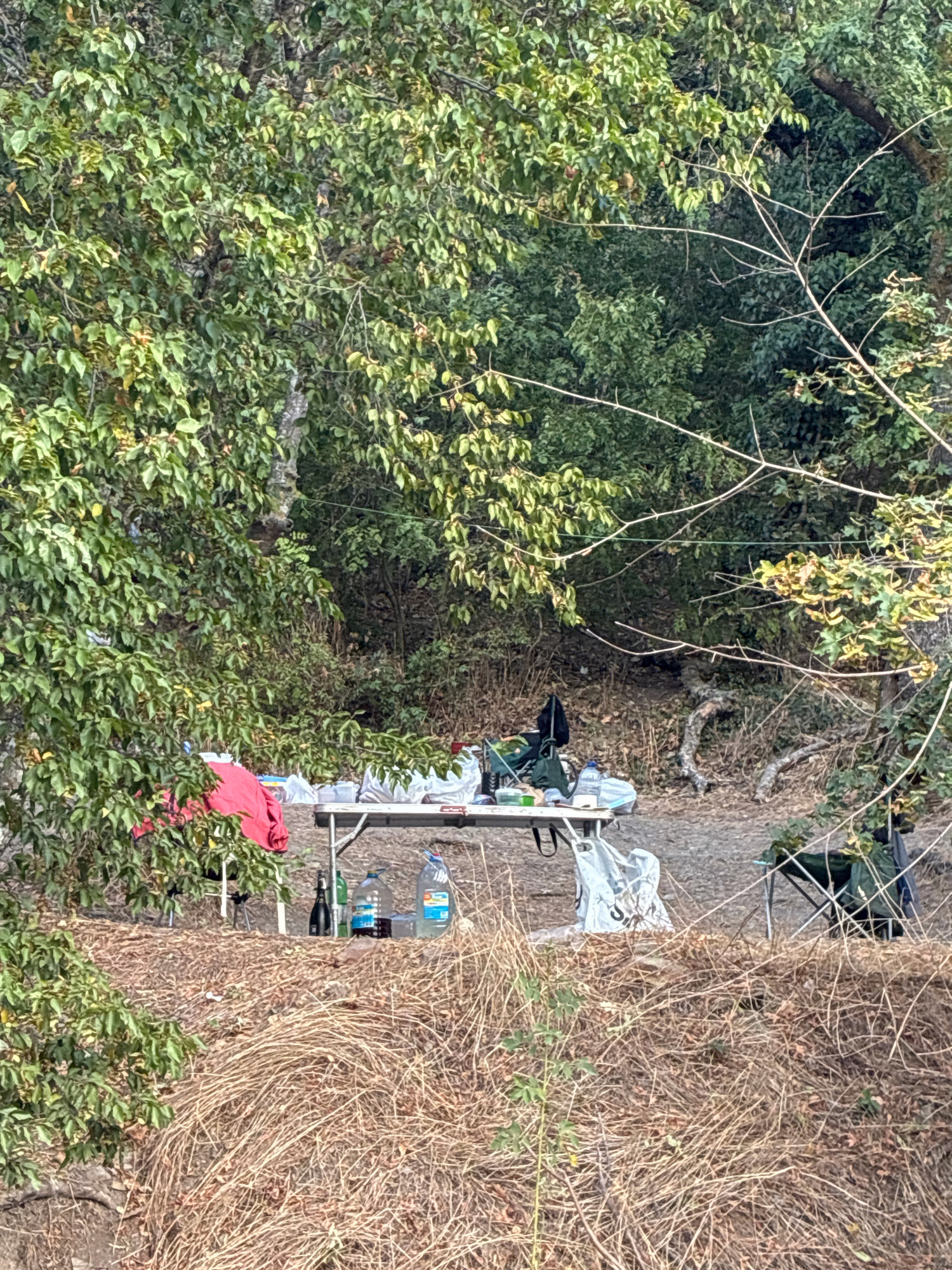 A cluttered campsite is set up in a wooded area, possibly near Dyurso, Russia. A rectangular folding table is laden with various items including bottles of liquid, plastic bags, and what appears to be food containers. To the left of the table, a red jacket or blanket is draped over a tree branch. In the background, dense foliage and trees create a natural, unkempt environment. A foldable camping chair with a green bag on it is visible to the right of the table. The ground is covered in dry grass and fallen leaves, suggesting a natural, possibly rural or park-like setting.
