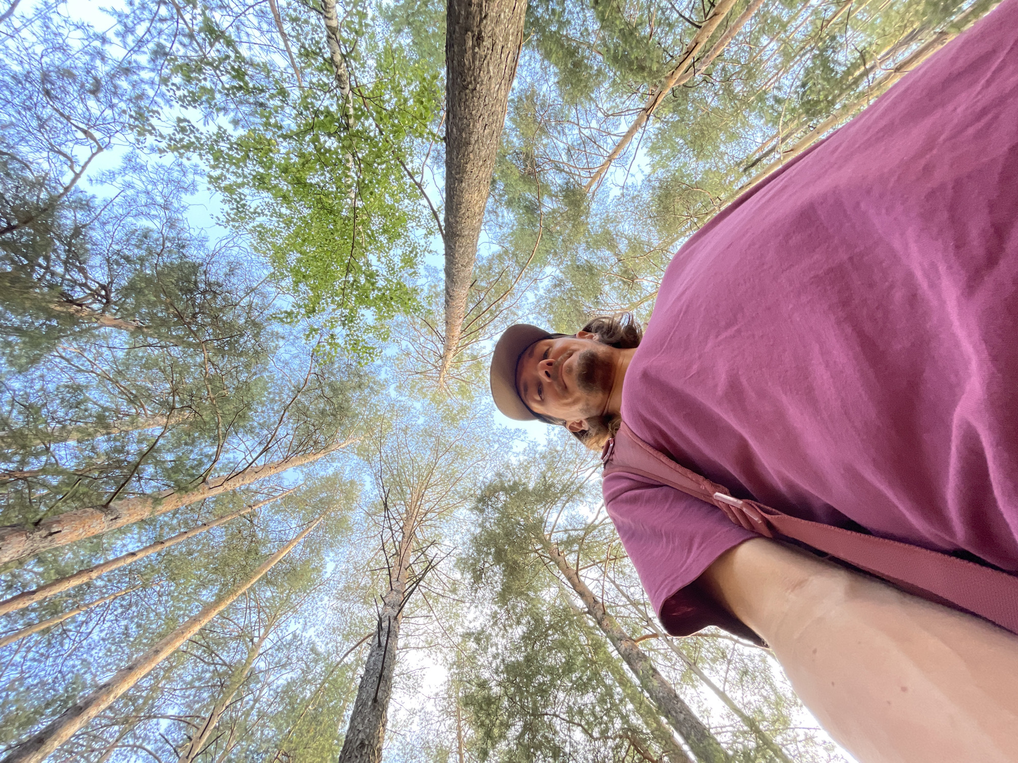 This is a low-angle, first-person perspective photo taken from within a forest, looking up towards the sky and trees. The primary subject is a person wearing a maroon t-shirt and a brown baseball cap, with long, dark hair. They are looking upwards and slightly towards the camera, with a neutral expression. A maroon strap, likely from a bag, is visible across their shoulder and chest. The background is dominated by tall, slender trees, with a clear sky visible through their branches. The sunlight filters through the leaves, creating a dappled effect. The trees are primarily pines, with some deciduous trees interspersed, indicated by lighter green foliage. The overall mood is one of peacefulness and connection with nature. The time of day appears to be late afternoon or early evening, given the warm light. No text is visible in the image.
