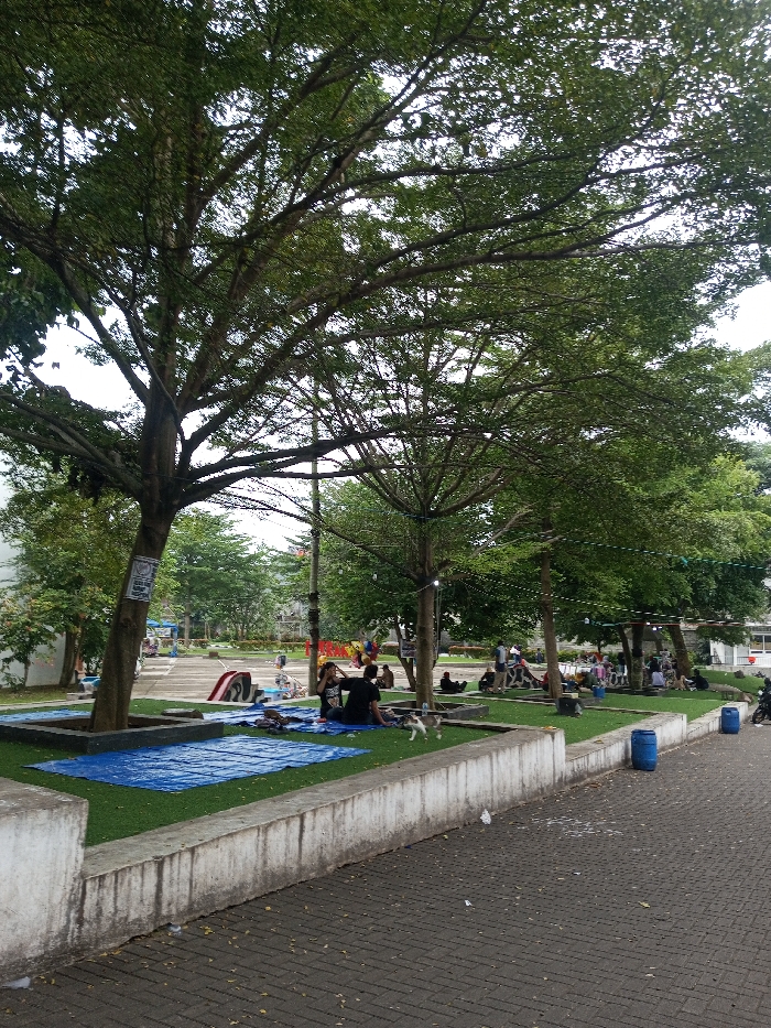This image depicts a daytime scene in a public park or open area within the city of Daringbadi, India. The foreground features a paved walkway composed of grey interlocking pavers, bordered by a low, weathered concrete retaining wall. Two blue plastic barrels stand on the paved area to the right.
The midground showcases multiple raised green areas, possibly covered with artificial turf, interspersed with several mature trees featuring dense green canopies. These trees provide shade, and some have string lights or similar decorations strung between them. Two white posters are affixed to the trunk of the large tree on the left.
Numerous individuals are present, predominantly adults, engaged in leisure activities. Several small groups are seated directly on the green ground, some utilizing blue tarpaulins spread out beneath them. In the left-center, two individuals are seated on a blue tarp, one appearing to interact with a small cat. Another small cat is visible to their right, walking on the green surface. Further into the midground, additional people are scattered, sitting or lounging, some near what appears to be a red and white children's slide or play structure. Balloons are visible near one group on the left.
The background consists of more trees, with glimpses of buildings and a utility pole with overhead wires suggesting a surrounding urban or semi-urban environment. The sky is overcast, providing soft, diffused lighting. The overall scene suggests a relaxed gathering or a public space utilized for recreational purposes.