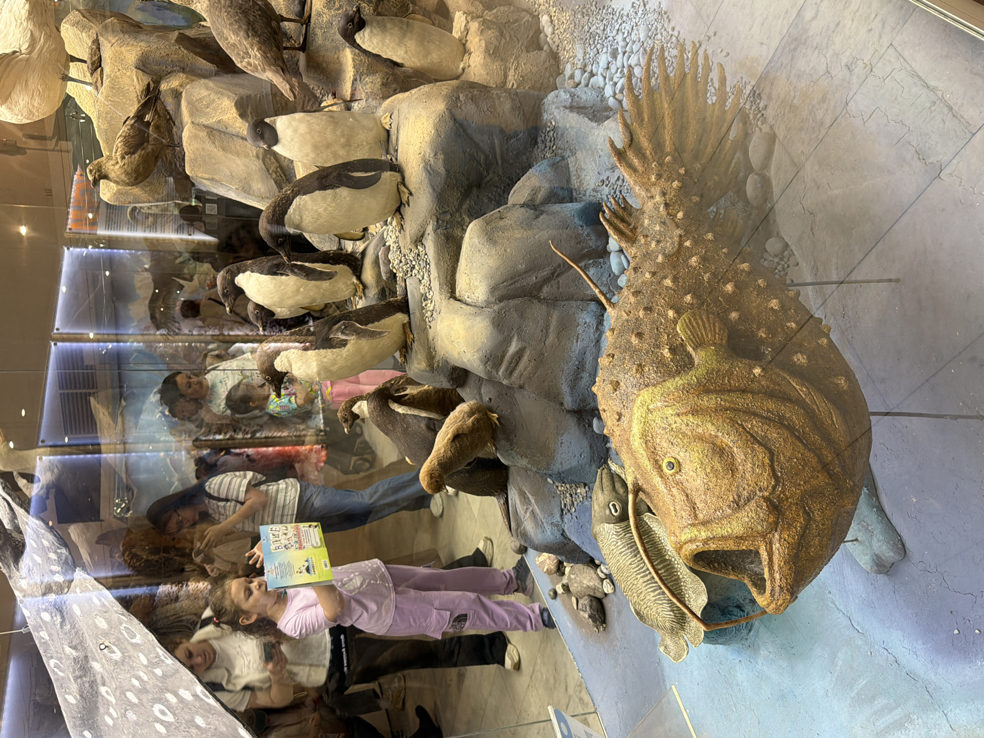 This image shows a museum exhibit featuring taxidermied penguins, birds, and a large fish model, as well as a glass display case reflecting people. In the foreground, a young girl in a purple shirt and pants holds open a book titled "BUZZ". She appears to be reading or looking at the book. Next to her, a person in a white shirt and dark pants is reflected in the glass, holding a phone. Behind them, another person, wearing a striped shirt and blue jeans, is reflected, looking down at the girl. The exhibit itself consists of rocky structures with several taxidermied penguins perched on ledges. There are also other bird specimens and a large, spiky fish model with an open mouth and a squid-like creature in its maw. The scene appears to be indoors, likely a museum, given the display cases and the exhibit's nature. The lighting suggests daytime or well-lit interior lighting. The reflections create a sense of depth and layered reality within the image.