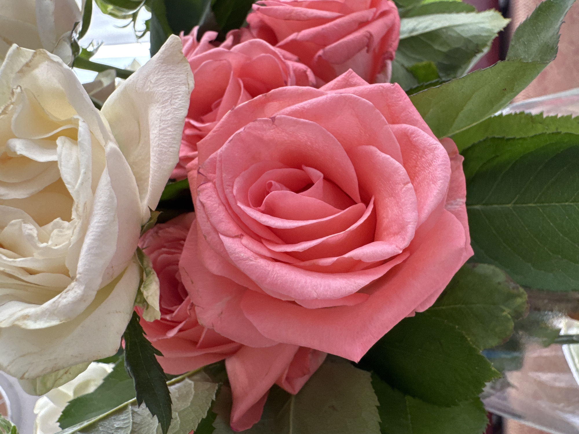 A close-up, eye-level shot captures a bouquet of roses, predominantly featuring a large, vibrant pink rose in the foreground. The pink rose's petals are unfurled, revealing its intricate, spiraling center. Behind it, a creamy white rose is visible, with delicate, slightly wilted petals tinged with a pale yellow at the edges. Several green rose leaves are interspersed throughout the arrangement, providing a contrast to the soft hues of the flowers. The background is softly blurred, suggesting an indoor setting. The scene is devoid of any people or animals. The image does not contain any elements that would allow for the identification of its location within the city of Bălți, Moldova.