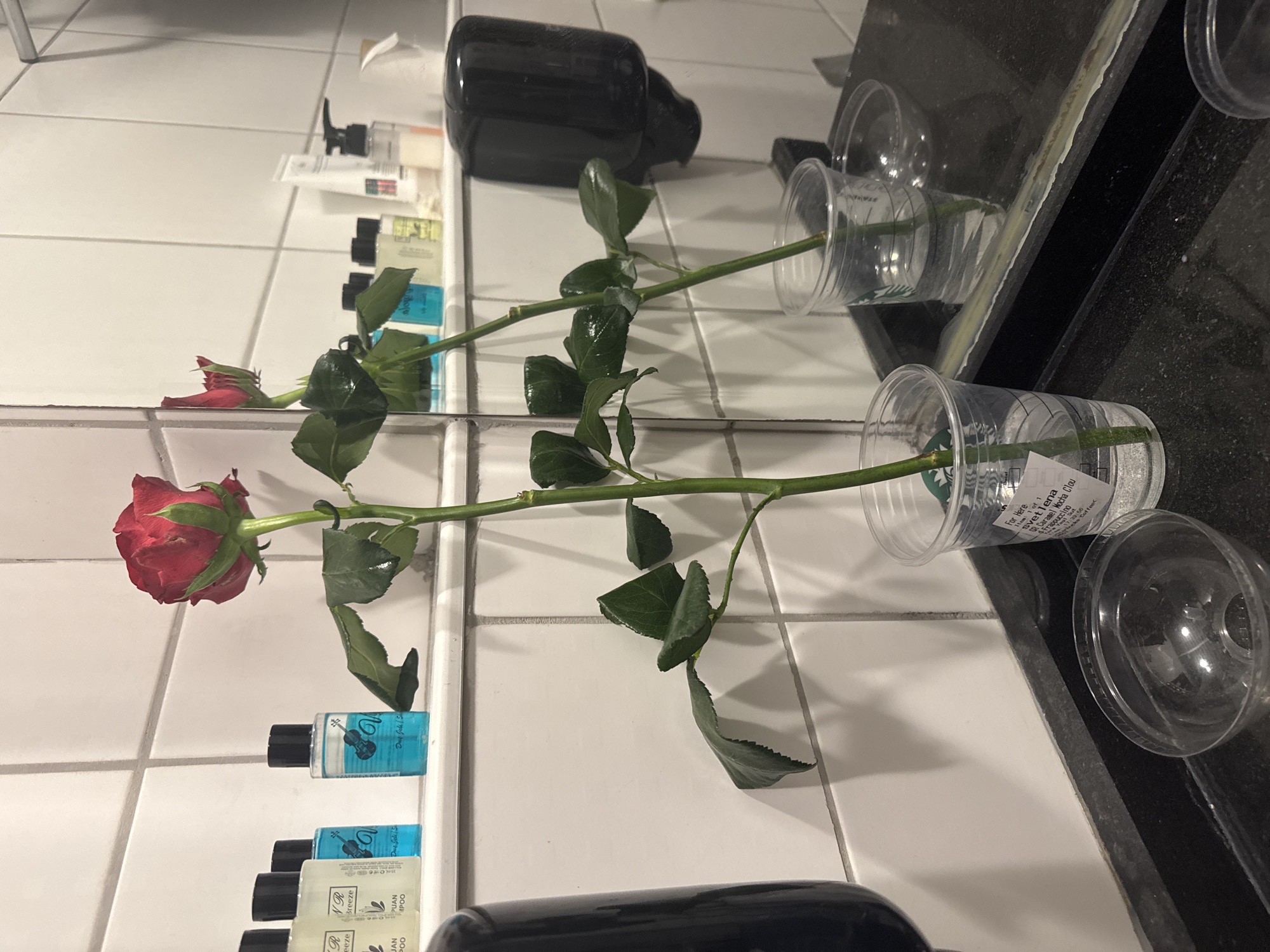 In a bathroom, two red roses with green leaves stand upright in clear plastic cups filled with water. The cups sit on a dark, reflective surface. The background features a tiled wall and a shelf holding various small bottles of toiletries and a dispenser. A mirror reflects the scene, showing more of the roses and the bathroom elements. The overall environment suggests a hotel or guesthouse bathroom, potentially in Kemer, Turkey.