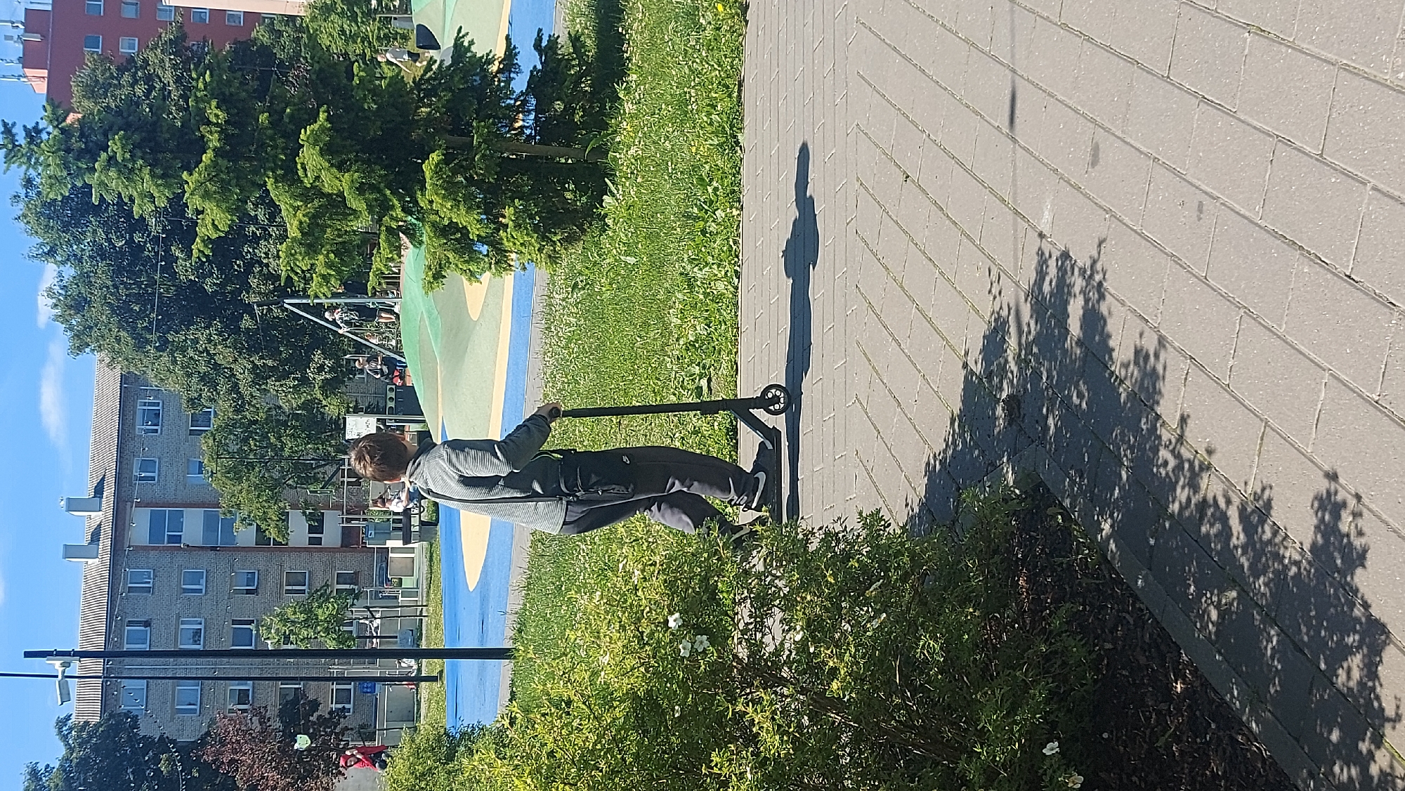 A young person is riding a black kick scooter on a paved sidewalk. They are wearing a grey and white striped long-sleeved shirt and dark grey sweatpants. A black crossbody bag is slung over their left shoulder. The scooter has a black frame and handlebars.
The sidewalk is made of grey rectangular pavers arranged in a brick pattern. To the left of the sidewalk is a lush green bush with small white flowers. To the right of the sidewalk, a patch of green grass with scattered yellow wildflowers extends towards a playground area with brightly colored surfaces. Beyond the playground, mature trees with dark green foliage stand tall. In the background, a multi-story apartment building with grey brickwork and numerous windows is visible, along with other residential buildings. The sky is a clear, bright blue. The scene appears to be a sunny day in an urban residential area. This image was taken in Tallinn, Estonia.