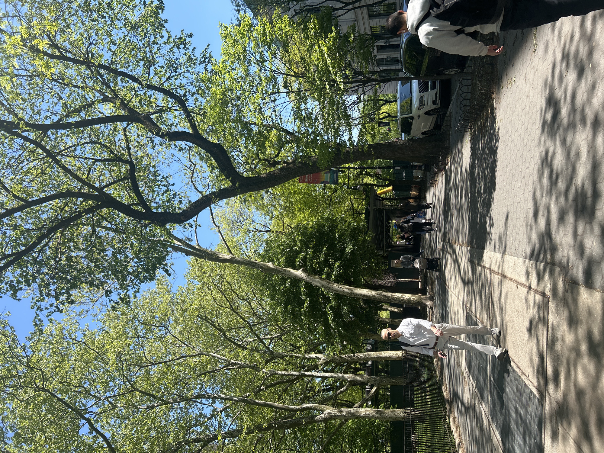 The image depicts a sidewalk scene on a sunny day in New York City. A tall, mature tree with spreading branches dominates the left side of the frame, casting shadows across the paved walkway. People are present on the sidewalk. A man wearing a light-colored shirt and pants is walking on the sidewalk. A car is parked on the side of the road. The scene suggests a park or green area in an urban setting.
