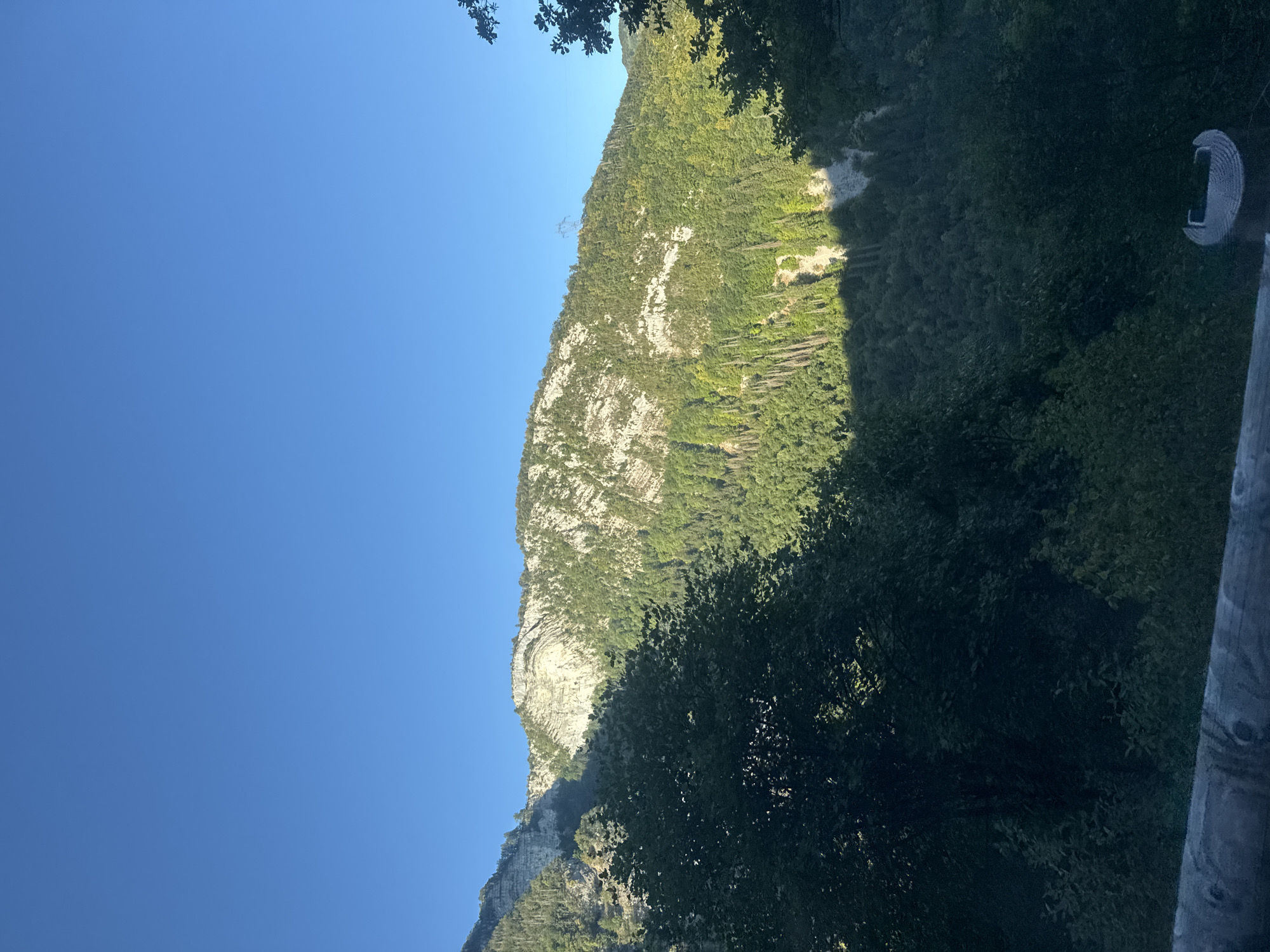 A wide shot captures a lush, green mountainside bathed in sunlight, with a clear blue sky above. The mountain is covered in dense forest, with a prominent rocky cliff face visible towards the upper left. The foreground is dominated by dark green foliage and a weathered wooden railing, suggesting a viewpoint or overlook. The scene appears to be set in a natural, mountainous environment, likely the Jura mountains in Septmoncel les Molunes, France, given its characteristic alpine vegetation and topography. No people or specific actions are depicted.