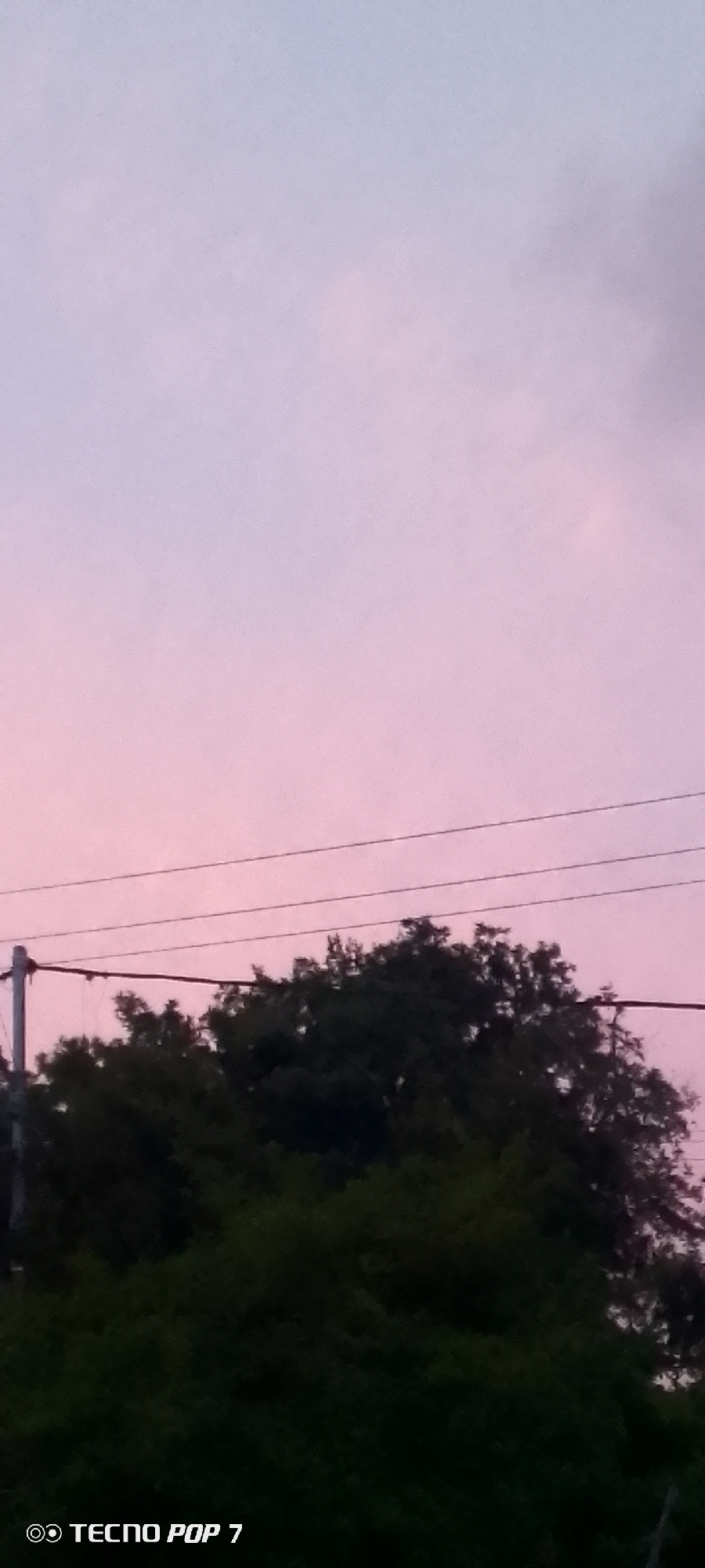 A serene sky with soft pink and purple hues dominates the upper portion of the image, indicative of a sunset or sunrise. Below, silhouetted against the colorful sky, are the dark green canopies of trees. Three parallel power lines stretch horizontally across the middle of the frame, supported by a utility pole on the left side. The bottom of the image features a watermark that reads "TECNO POP 7". The scene appears to be an outdoor view, possibly from a residential area or a park, given the presence of trees and power lines. The location is Altagracia, Venezuela.