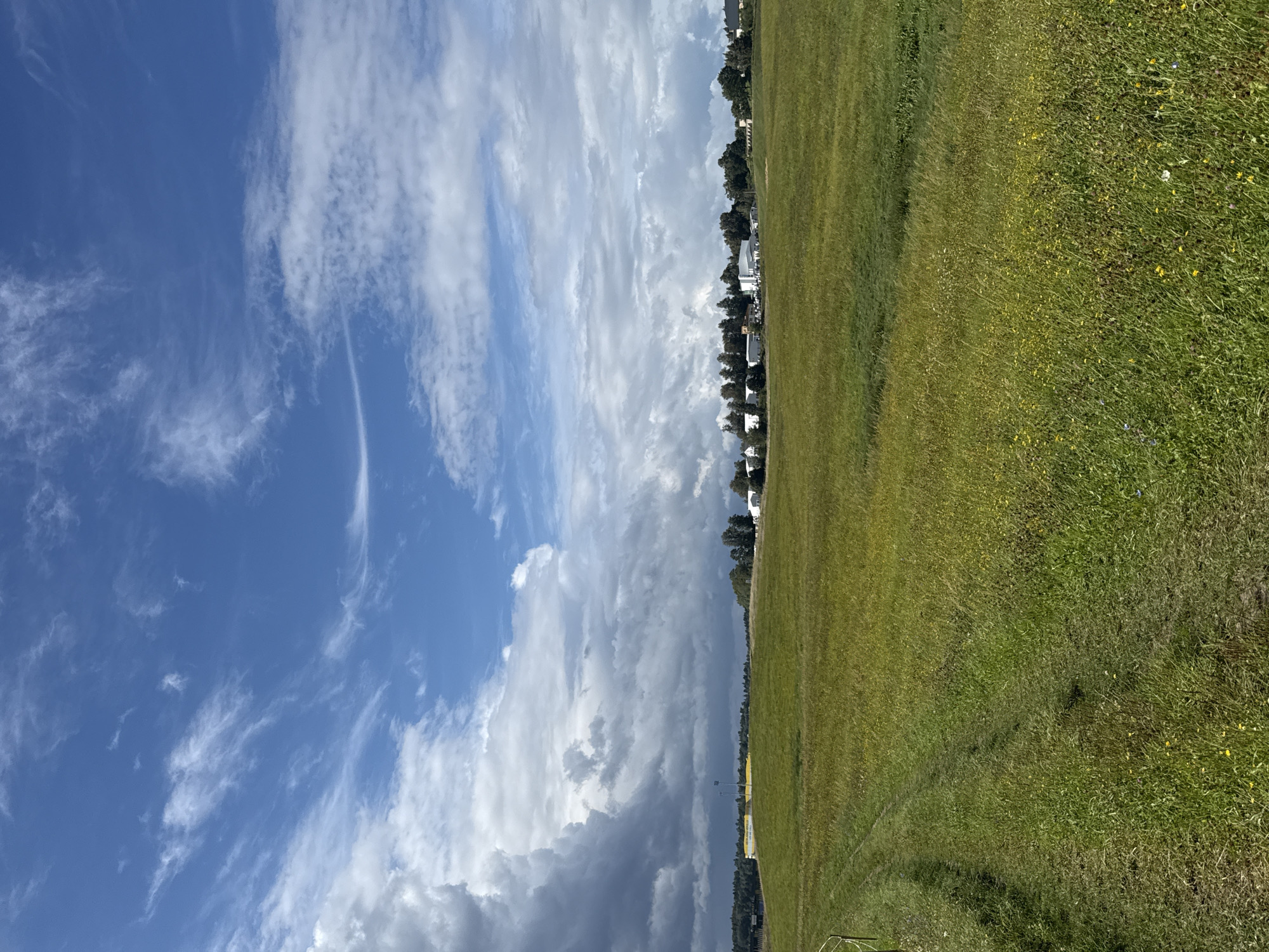 The image depicts a vast, undulating green field bathed in sunlight, with a clear blue sky overhead dotted with white, wispy clouds. In the distance, a cluster of white buildings and trees forms a horizontal line across the horizon. The field is primarily covered in tall grass and wildflowers, with a faint dirt track visible on the left side of the frame, suggesting a pathway or vehicle trail. The overall impression is one of a serene, rural landscape. The specific location is the outskirts of Putiniškės, Lithuania, a village situated near the capital city of Vilnius.