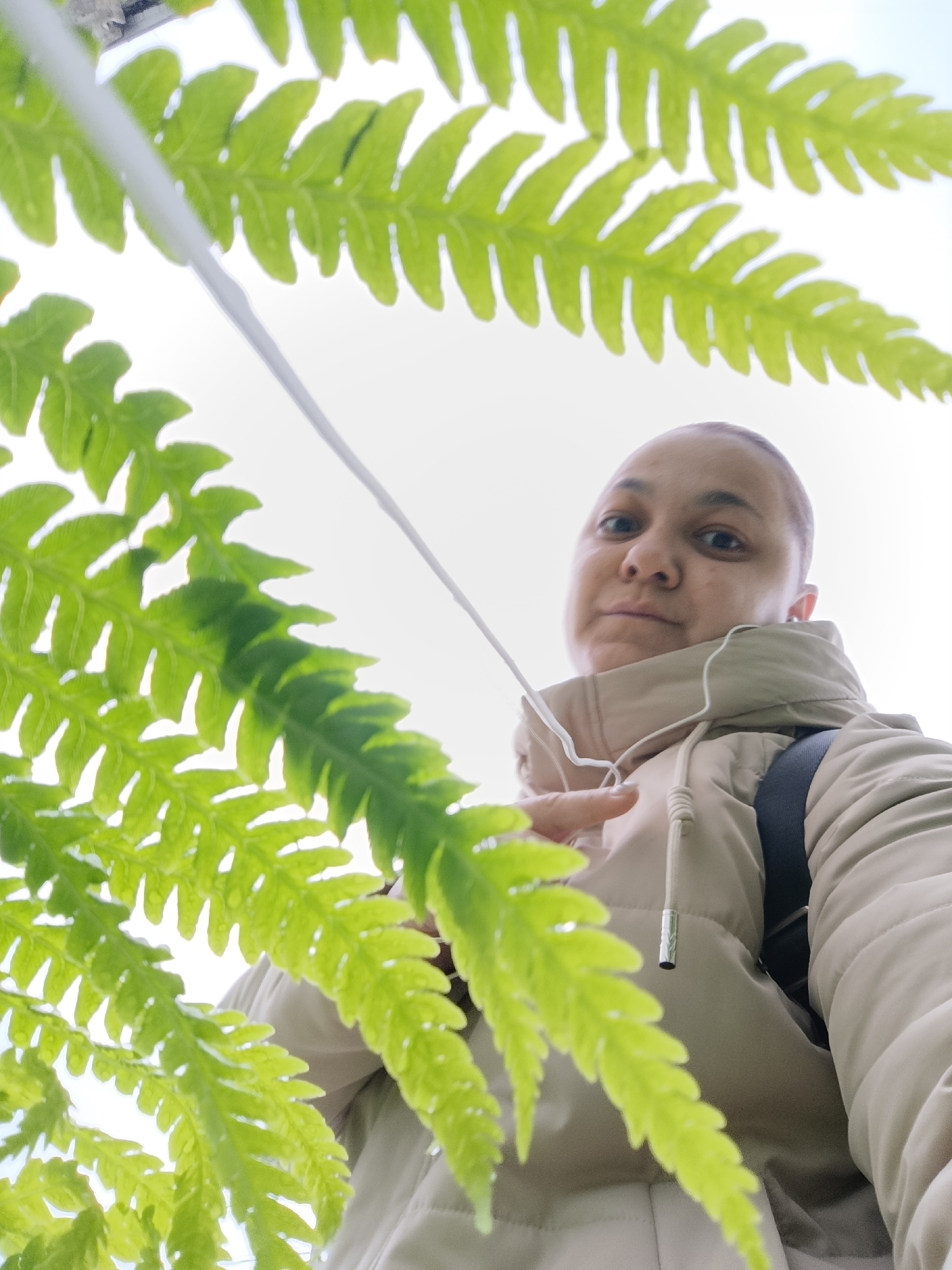 This low-angle photograph captures a person, likely a woman, looking directly at the camera. She has very short or shaved hair and wears a light-colored, possibly beige or tan, puffer jacket with a hood and a visible drawstring. Wired earbuds or headphones are around her neck, with white cords extending upwards, one of which appears in the upper left of the frame. A black backpack strap is visible on her right shoulder. Her right hand (viewer's left) is slightly raised, with an index finger extended, possibly in a pointing gesture or adjusting something out of frame.
The image is characterized by a prominent foreground of vibrant green fern leaves, which partially obscure the subject and frame the shot from below. The background is a bright, featureless sky, suggesting an outdoor setting on an overcast day due to the soft, diffused lighting and lack of harsh shadows. The perspective is from below, looking up through the foliage towards the subject and the sky. The overall scene conveys a quiet, contemplative moment in nature. No discernible text is visible in the image. The event takes place outdoors in Chaikovsky, Russia.