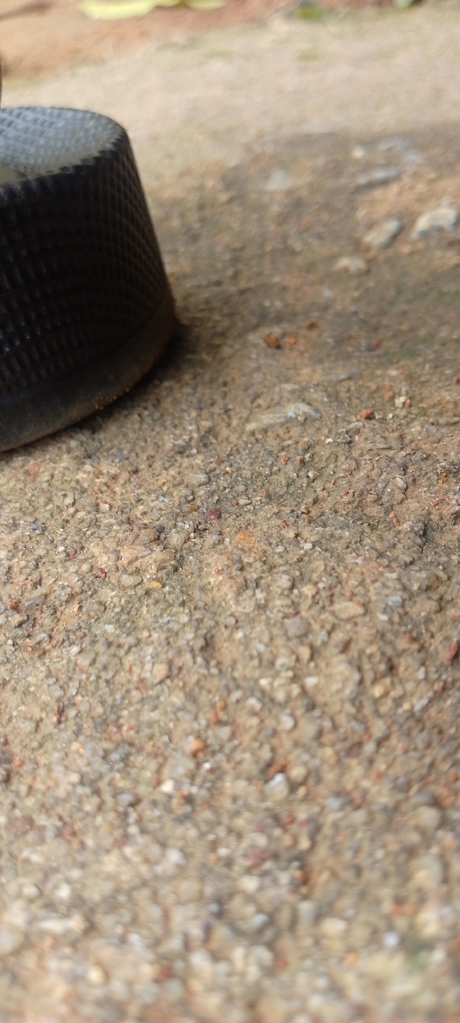 The image shows a close-up, low-angle view of a textured, black, thimble-like object resting on a granular, earthy surface. The surface is composed of small pebbles, sand, and dirt, with variations in color from light beige to reddish-brown. The object is partially in focus, revealing a diamond-shaped pattern on its exterior. The background is out of focus, showing hints of blurred greenery and a lighter, possibly dirt or gravel, area. The scene appears to be outdoors, on the ground. There is no information available to specifically place this scene within the city of Baissa, Nigeria.