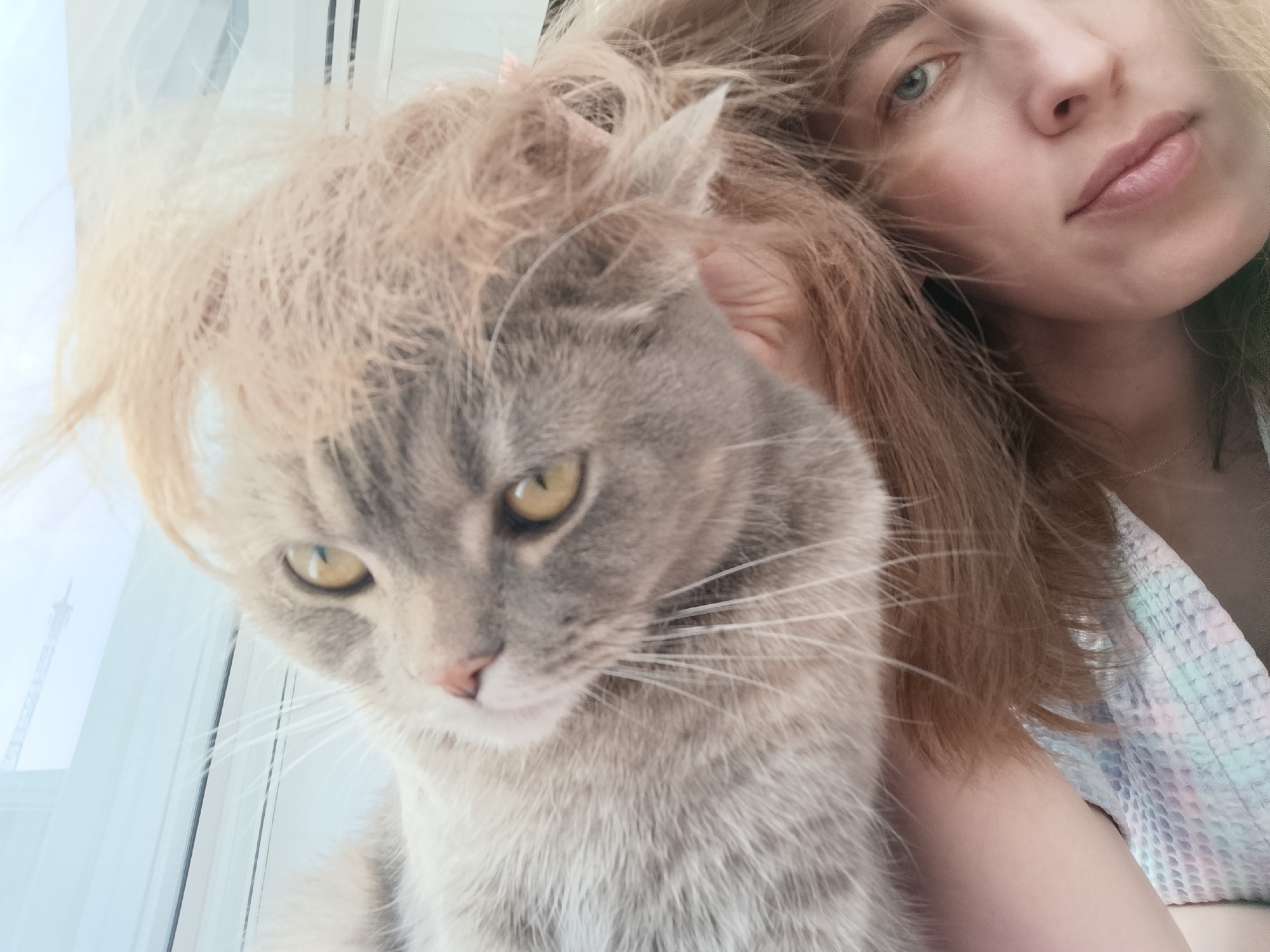 The image captures a close-up, indoor scene featuring a woman and a cat, likely taken as a selfie. A woman with light skin, light brown hair, and blue eyes occupies the upper right portion of the frame, with her face partially visible, looking directly towards the viewer. Her hair is loosely styled, with some strands draped across the head of the cat. She is wearing a light-colored garment, possibly a waffle-knit texture with faint pastel hues of blue, green, and pink, visible on her right shoulder and arm. A thin, gold-colored necklace is present on her neck.
Dominating the central and left foreground is a gray tabby cat with discernible darker stripes on its head. The cat has yellow eyes, a pink nose, and prominent white whiskers. Its gaze is directed slightly downwards and to the left. Some of the woman's hair rests on top of the cat's head.
The background consists of a brightly lit window, through which diffused daylight enters. A vertical white window frame segment is visible to the right of the window. Through the window, specifically in the upper left quadrant, the silhouette of a tall structure, consistent with a tower crane or a telecommunications tower, is faintly discernible against the bright sky, indicating an outdoor urban environment within the city of Chaikovsky, Russia.