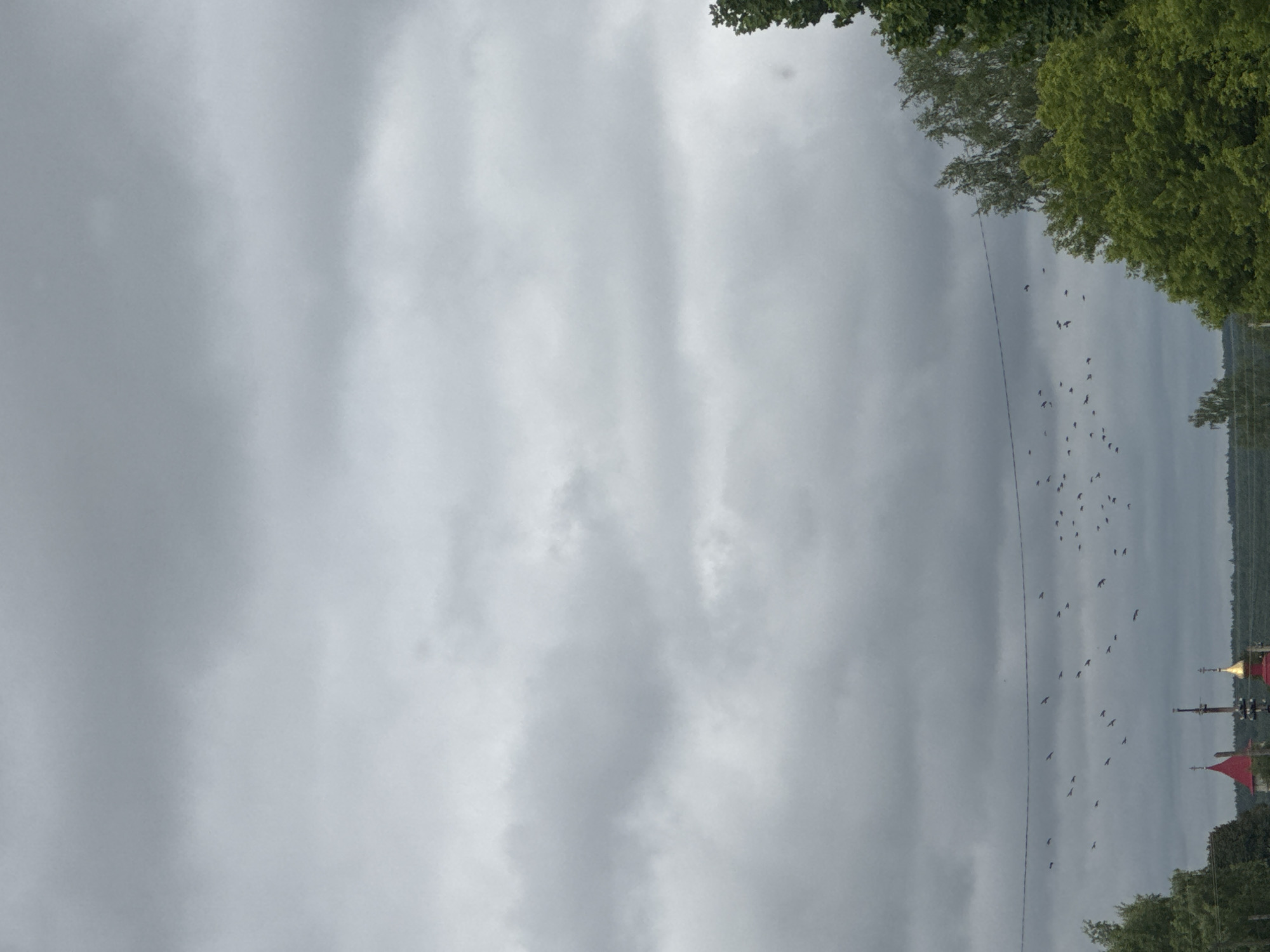 This image, when correctly oriented, depicts an overcast sky dominating the upper and left portions of the frame. Dense, light grey clouds fill most of the visible sky, indicating a cloudy or potentially gloomy day.
Along the right edge and extending into the lower right, vibrant green trees with full foliage are visible, suggesting a summer or late spring setting. A thin, dark line, possibly a power line or cable, stretches horizontally across the middle distance of the sky, passing through a cluster of flying birds.
A significant flock of birds, appearing as small, dark silhouettes, is captured in flight across the sky, mostly in the upper-right and central-right areas of the frame. They are scattered but generally moving in the same direction.
In the far distance, near the horizon line at the bottom, glimpses of a landscape or settlement can be seen. Notably, two distinct architectural features stand out: one is a golden dome, characteristic of an Orthodox church, positioned next to a darker structure, possibly with a red roof. Another red-roofed structure is visible further to the left along the horizon. These structures, combined with the trees and distant landscape, suggest a rural or semi-rural setting.
Given the provided context, the location is Пычас, Russia. The time of day appears to be daytime, though the heavy cloud cover obscures direct sunlight. There is no visible text in the image.