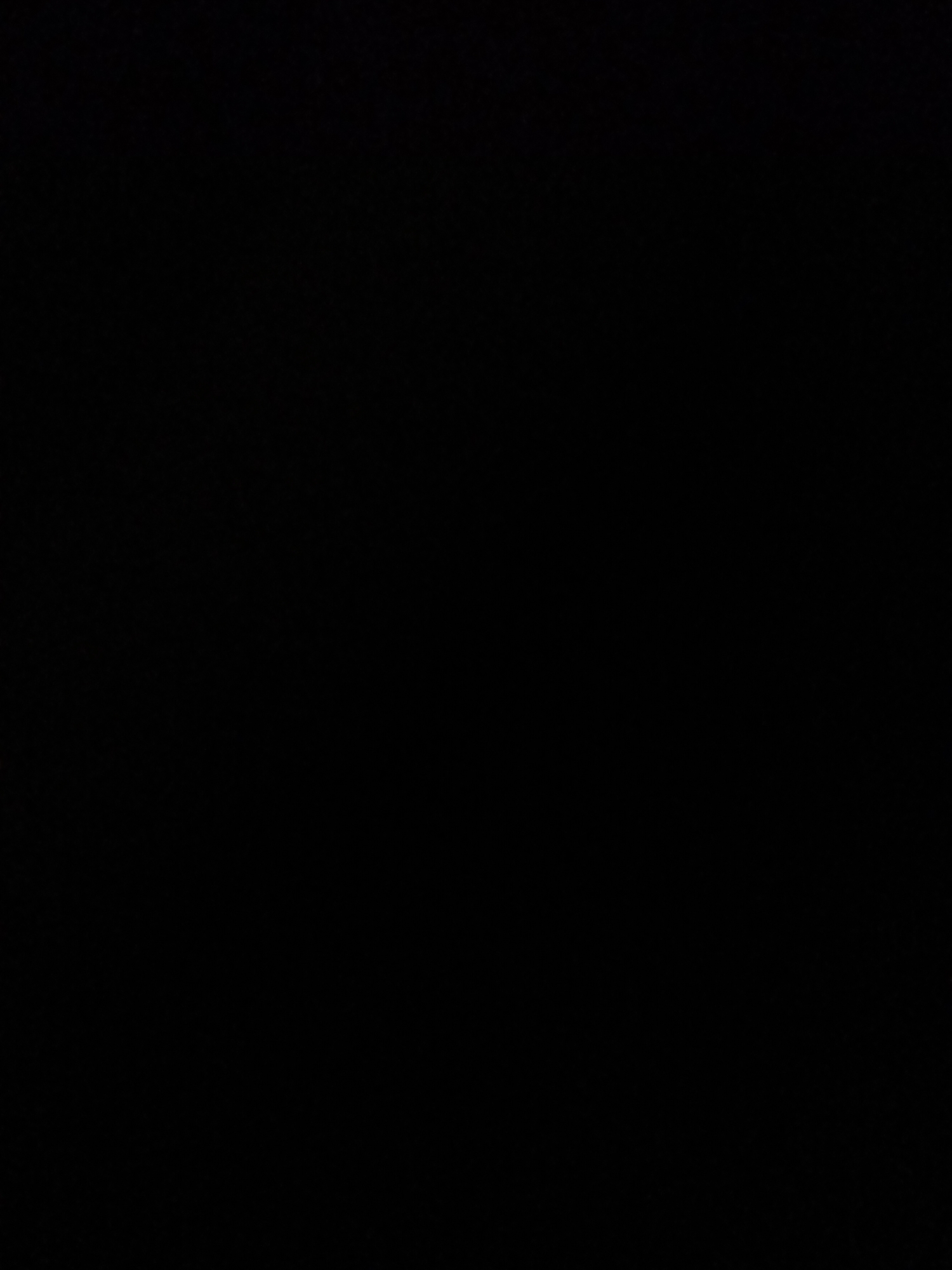 The media file is a completely black image. There are no discernible subjects, objects, scenes, activities, or notable details. No text is visible, and no context regarding time of day, weather, location, or emotions can be inferred.