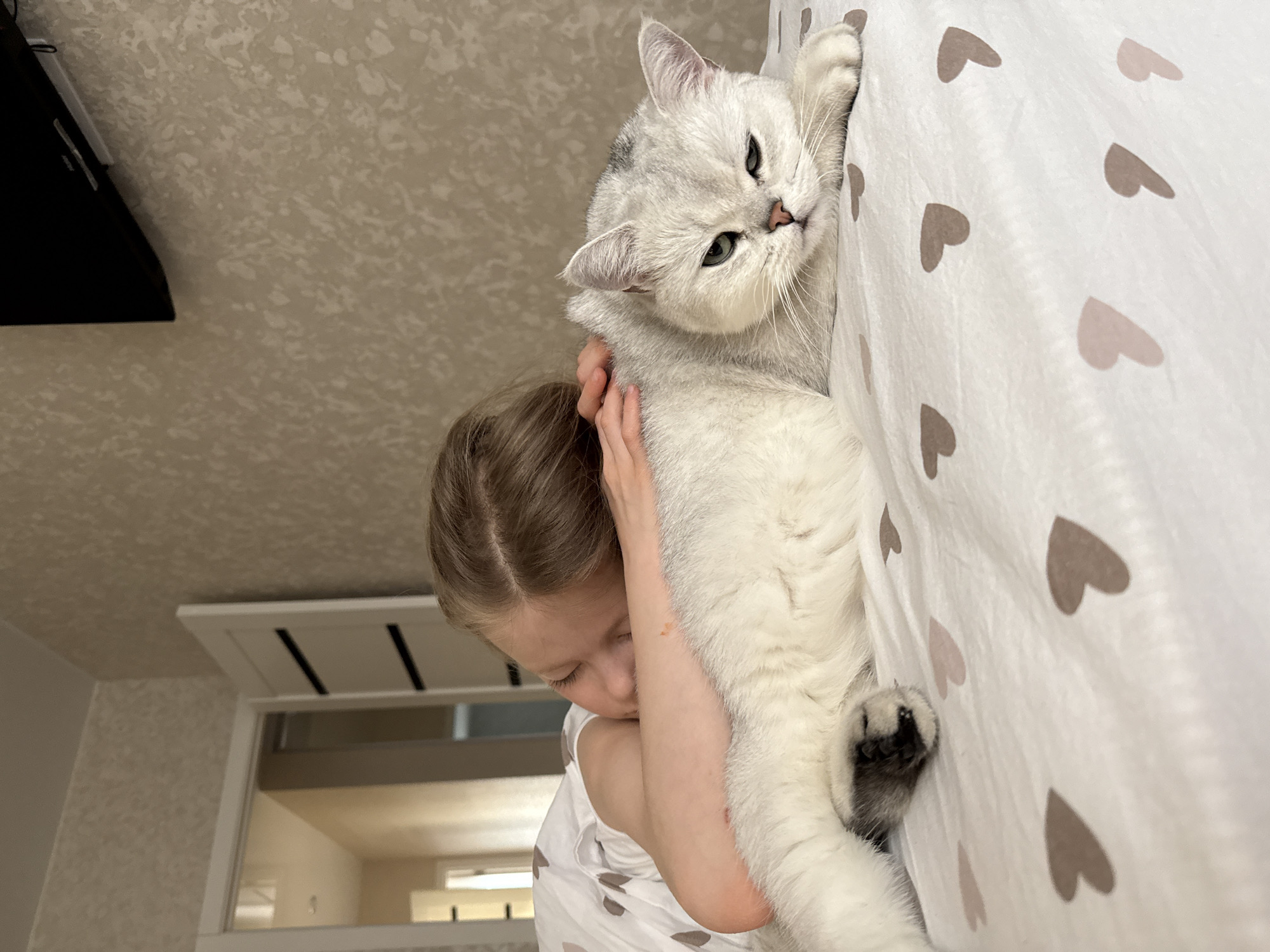 A young, light-skinned girl with blonde hair braided into pigtails is holding a large, white and gray cat against a bedspread with brown heart patterns. The cat is facing the camera. The girl's face is partially obscured as she appears to be hugging or holding the cat close. A television is visible on the wall behind her. The room is bright and appears to be indoors. There is no definitive information in the image to confirm the location as Izhevsk, Russia.
