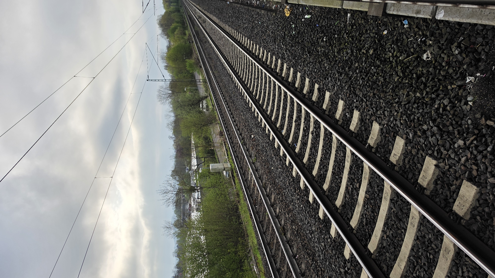 This vertically oriented image captures a broad view of multiple railway tracks stretching into the distance under a cloudy sky. The main subjects are two sets of railway tracks, composed of metal rails laid on light-colored concrete sleepers, embedded in dark grey and black ballast. The tracks recede towards the horizon, where they converge in the distance.
To the right, a concrete platform edge is visible, and the ballast immediately adjacent to it contains scattered litter and debris. Overhead, a complex network of dark electrical wires and support structures, part of a catenary system, crisscrosses the sky. Beyond the tracks, on both sides, there is lush green vegetation consisting of trees and bushes, indicating a potentially rural or suburban setting. Some bare tree branches are also visible, suggesting a time of year where leaves have not fully emerged or are about to fall. In the middle distance on the left, hints of structures or vehicles can be seen through the trees.
No specific activity or event is taking place; the scene appears static. The time of day is daytime, under an overcast sky, with some brighter patches of clouds. The weather appears calm. There are indistinct manufacturing marks or identifiers embossed on the concrete sleepers, but no clear, readable text is visible. The scene conveys a sense of quiet observation of an operational railway line.