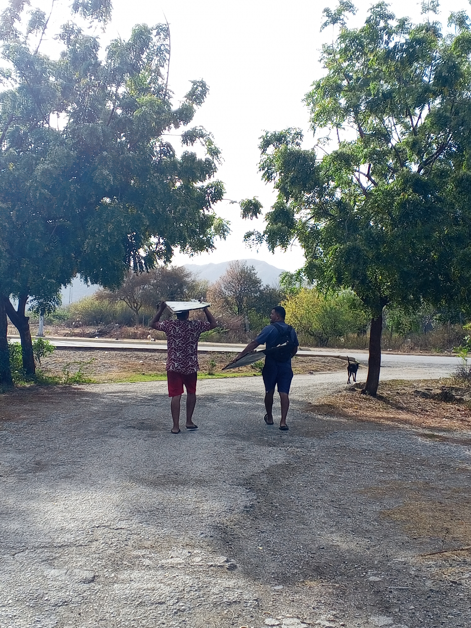 Two men are walking on a gravel path, carrying a large, flat object. The man in the front is wearing a short-sleeved patterned shirt and red shorts. The man behind him is wearing a short-sleeved blue shirt and blue shorts, with a backpack. They are walking away from the camera towards a road. On the other side of the road are low hills. The location appears to be a park-like area, with trees lining the path. A dog is present near one of the trees.