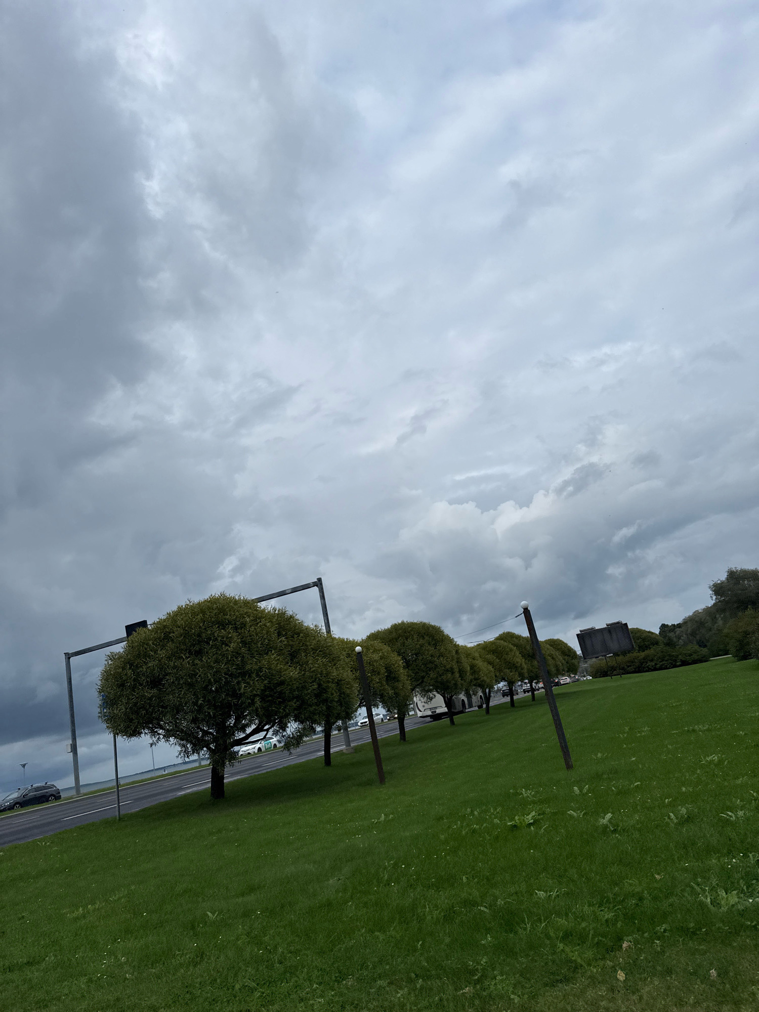The image captures a grey, overcast sky above a row of neatly trimmed trees bordering a grassy field. A road runs alongside the field, with several vehicles visible, including cars and what appear to be service vehicles or trucks. A large, dark sign is situated behind the trees. The scene suggests an urban or suburban setting with a road and infrastructure, likely in Tallinn, Estonia, given the context. The overall mood is somber due to the cloudy weather.