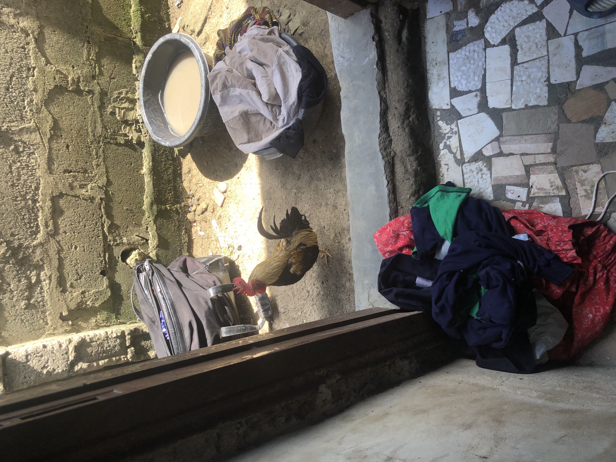 The image displays an outdoor or semi-outdoor scene, likely a courtyard or passage in Ado, Nigeria, under bright daylight. The perspective is from a slightly elevated position, looking down.
In the upper-left corner, a grey plastic basin contains a light-colored liquid, possibly water or a food mixture. Adjacent to it, a pile of light-colored crumpled clothing (white, beige, black) rests on sandy ground. In the mid-ground, a rooster with black, gold/brown, and red feathers (comb/wattle) stands on the concrete ground.
To the lower-left, a black bag, possibly a backpack or duffel bag, leans against a rough, unfinished concrete wall. The bag's zipper is partially open, revealing a blue item inside. This wall exhibits texture and some discoloration. Across the lower part of the frame, a dark wooden beam or threshold spans horizontally. On the right side, a pile of vibrant clothing, including red, blue, and green items, is visible on a patch of ground paved with irregular, light-colored tiles. A white rope or cord is also present near these clothes.
The strong shadows indicate clear, sunny weather during daytime. No human activity is depicted; the scene captures a static moment. The materials and setting suggest a functional, lived-in environment. There is no visible text in the image.