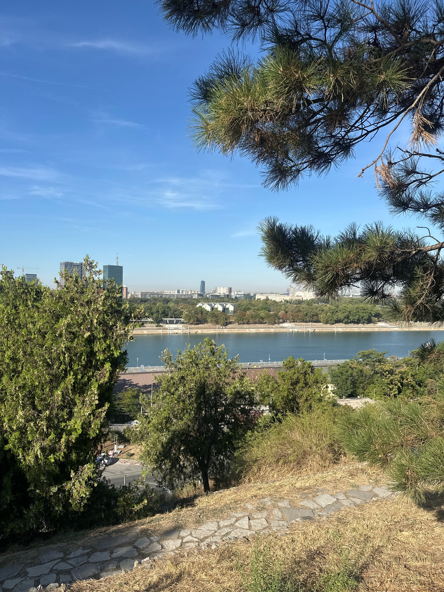 This is an outdoor, eye-level, vertical shot of a panoramic view of the confluence of the Sava and Danube rivers in Belgrade, Serbia, from the vantage point of Kalemegdan Fortress Park. In the foreground, a stone pathway is visible, bordered by dry, golden grass and the foliage of evergreen trees, some of which are pine trees. The middle ground features the wide, calm body of water, reflecting the clear blue sky. Across the river, the cityscape of Belgrade unfolds, characterized by a mix of modern high-rise buildings, including the distinctive Genex Tower (now known as West Gate of Belgrade) and the Ušće Tower, along with lower structures and lush greenery. The background is a hazy horizon, indicative of a sunny day. No people or active interactions are discernible within the frame.
