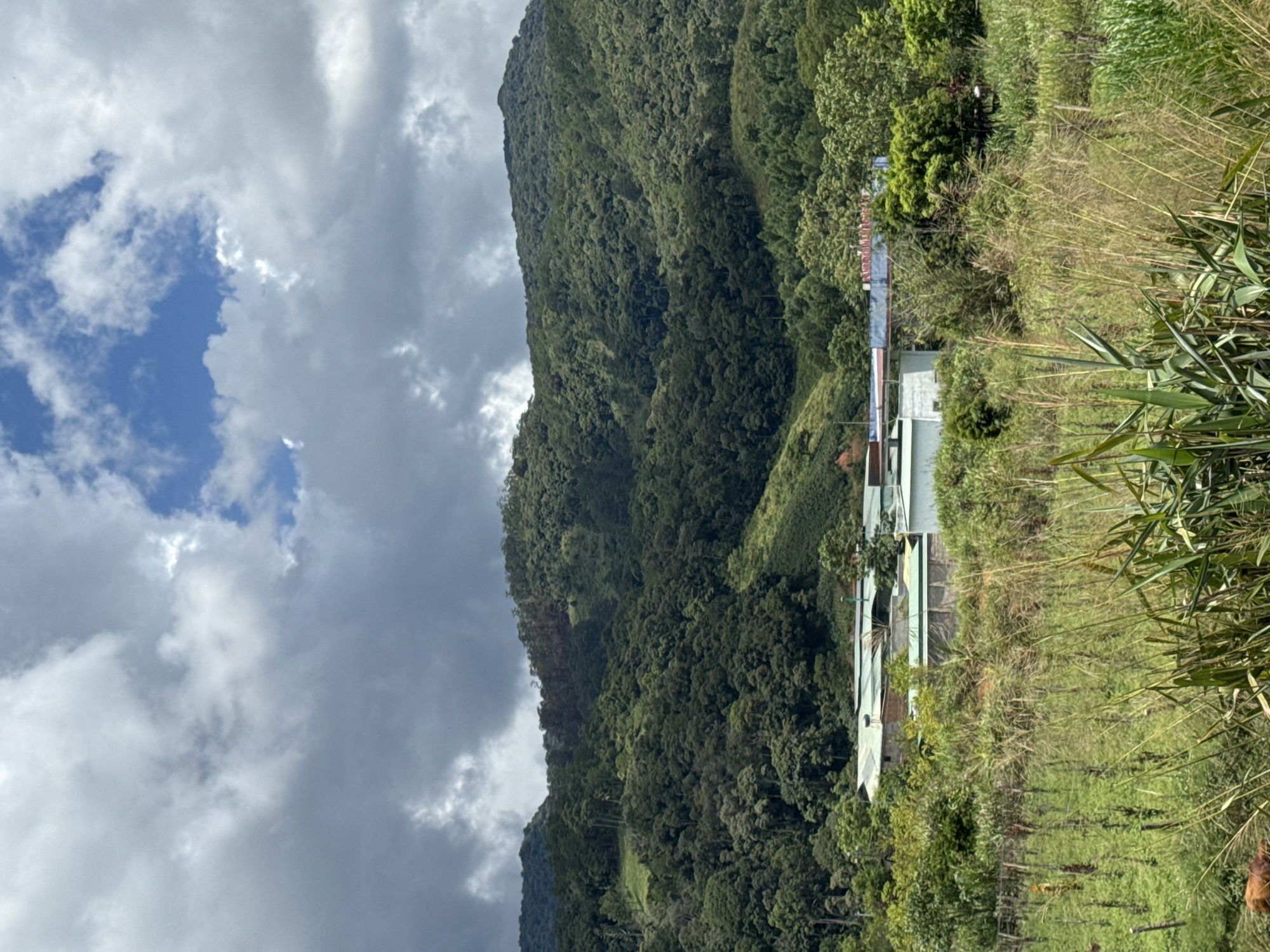 This image captures a scenic view of a rural area, likely in the vicinity of Klong Klanh, Vietnam, characterized by lush green mountains and a cluster of buildings in the mid-ground. The sky above is a mix of dramatic, dark clouds and patches of bright blue, suggesting a dynamic weather system.
The foreground is dominated by tall, dry grasses and other wild vegetation, with a hint of a brown animal, possibly a cow, visible on the far left. A simple fence runs through this area.
In the middle ground, a collection of low-rise buildings with green roofs are nestled amongst dense trees and foliage. These structures appear to be residential or perhaps agricultural in nature. Some buildings have concrete walls, while others are partially obscured by vegetation. A sign with some lettering is visible above one of the structures.
The background features a majestic, densely forested mountain range that rises steeply. The slopes are covered in a variety of trees, creating a rich tapestry of green hues. The texture of the forest suggests a diverse ecosystem. The overall impression is one of natural beauty and rural tranquility, with human settlement integrated into the landscape.