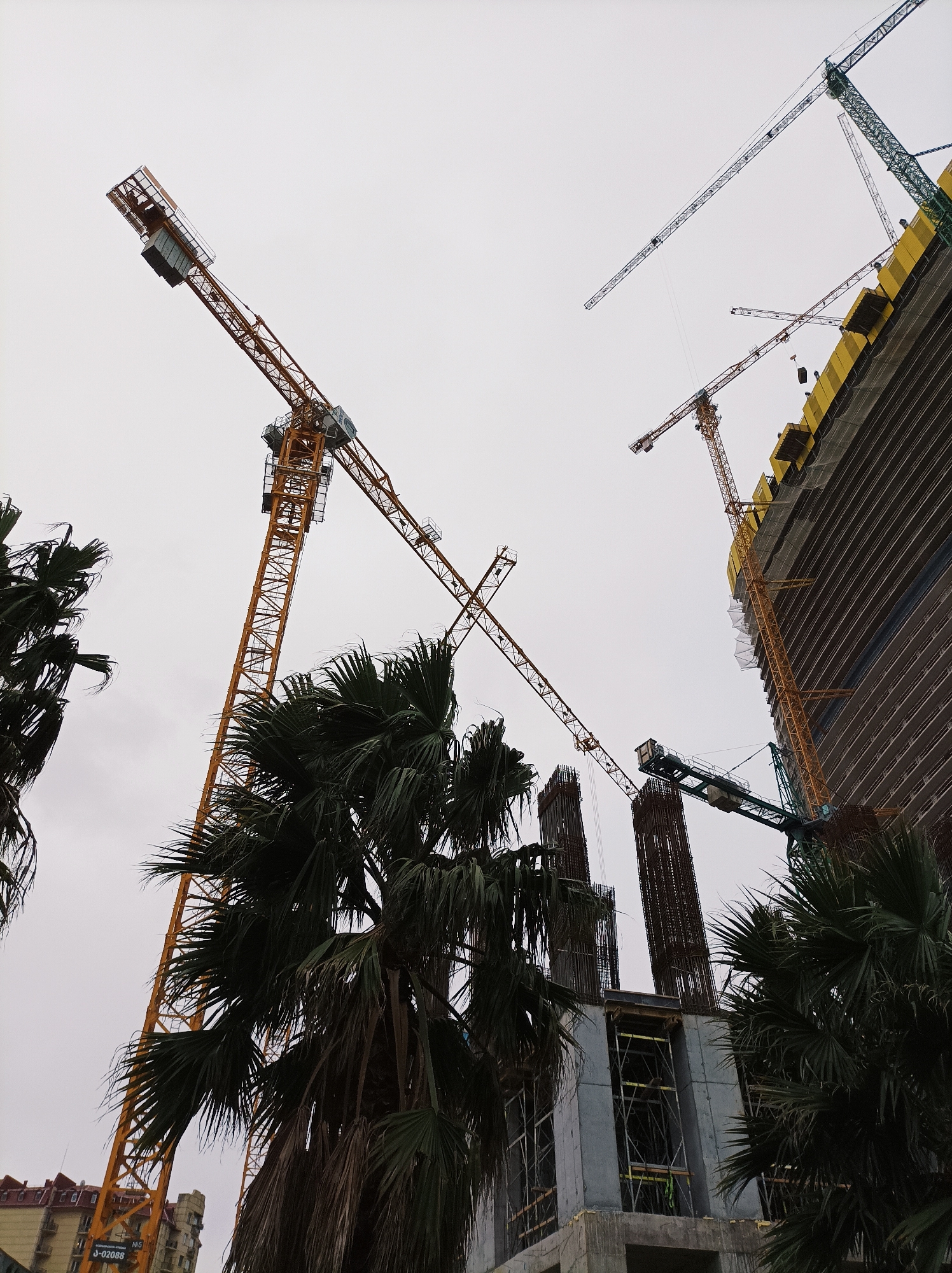 The image depicts a construction site in Batumi, Georgia. Several tower cranes of different colors (yellow, green, and blue) are visible against an overcast sky. The cranes are actively involved in the construction of high-rise buildings, including one with a partly constructed exterior, featuring yellow protective elements along the edges. In the foreground are palm trees. The lower portion of the image shows partially built structures with visible rebar and concrete framework.
