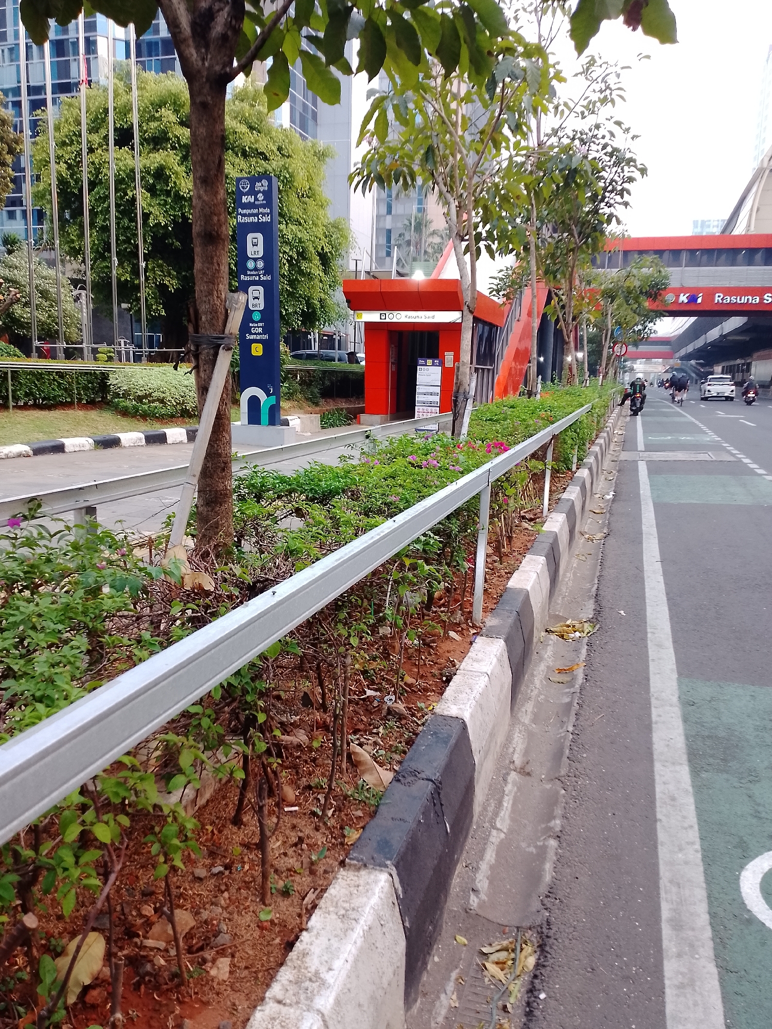 The image shows a street scene in South Jakarta, Indonesia, likely near the Rasuna Said area, indicated by signage. In the foreground, a metal guardrail runs along a landscaped strip of greenery, featuring small trees and flowering plants. Beyond the greenery, a sidewalk and road are visible. The road has designated lanes, including a green bicycle lane. Several vehicles, including motorcycles and cars, are on the road. In the background, a modern red and white pedestrian bridge spans over the road, with a building complex and tall trees visible further in the distance. Signage for public transportation, including KAI (Indonesian Railways), LRT (Light Rail Transit), and BRT (Bus Rapid Transit), is present on a blue post next to a tree. The overall atmosphere is that of a busy urban environment with integrated public transportation infrastructure.